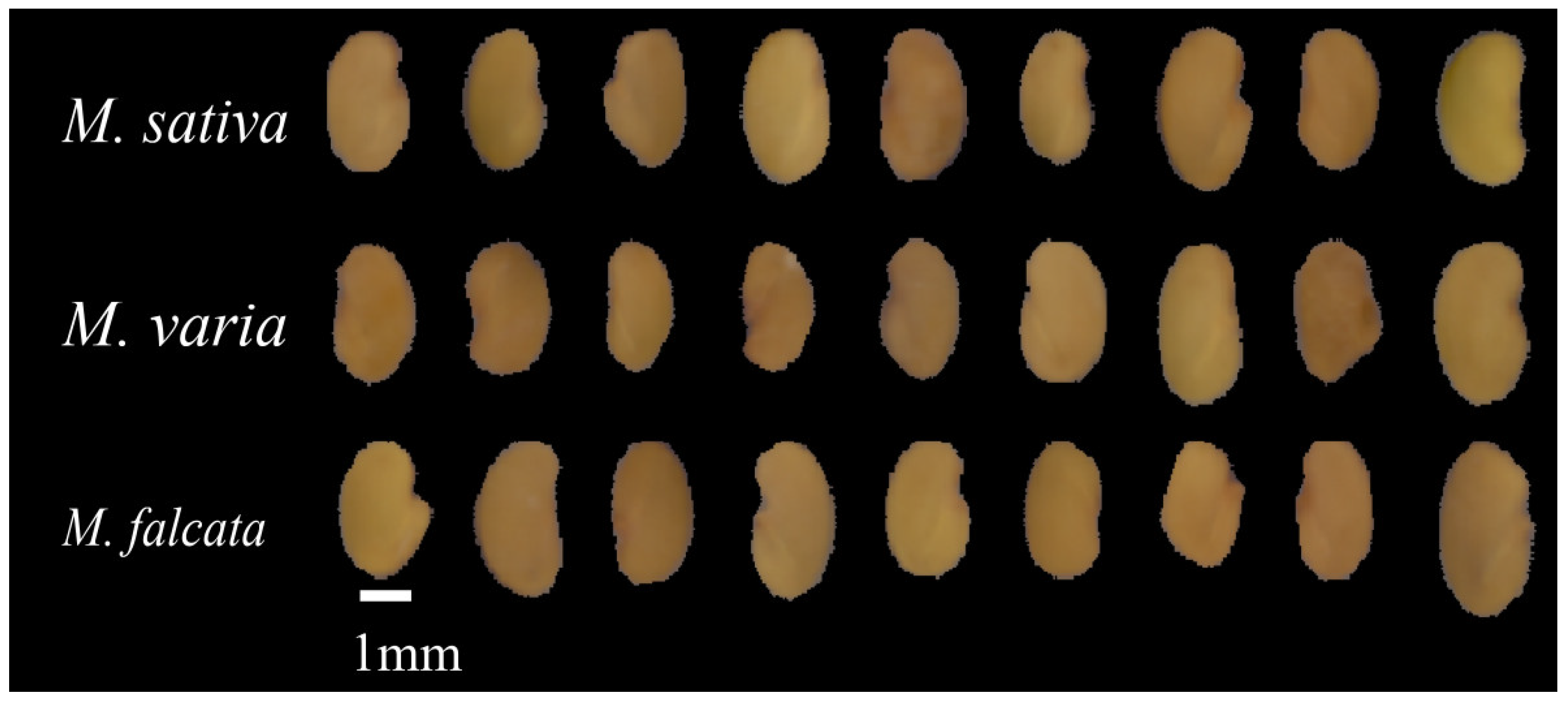 Sensors 22 07521 g001