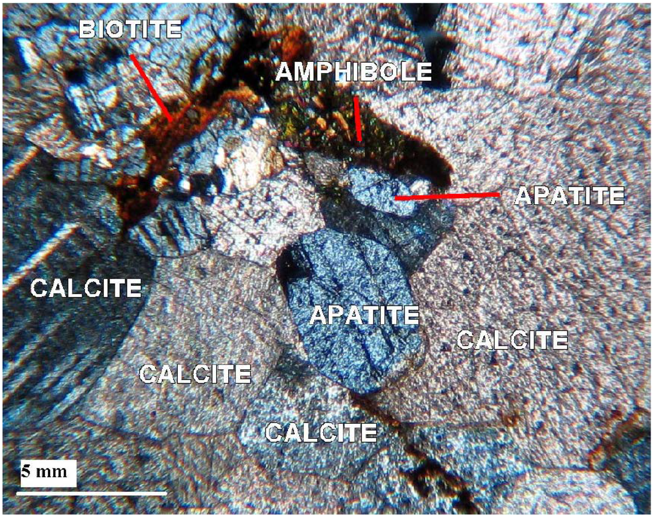 Sensors 22 07537 g006