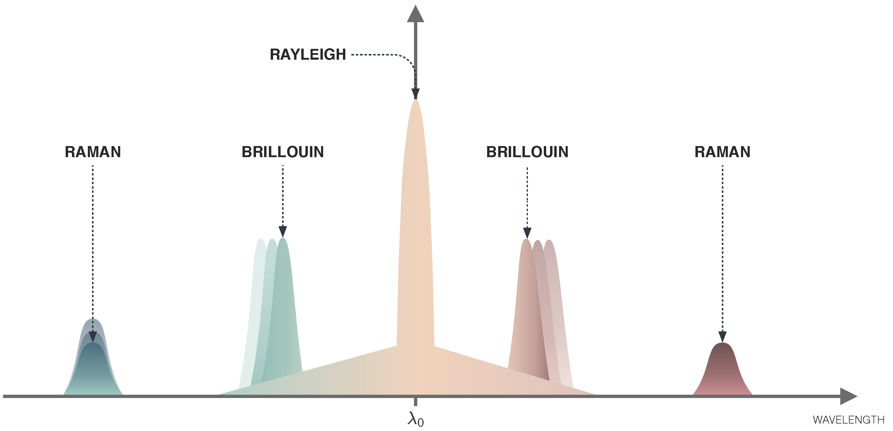 Sensors 22 07554 g007