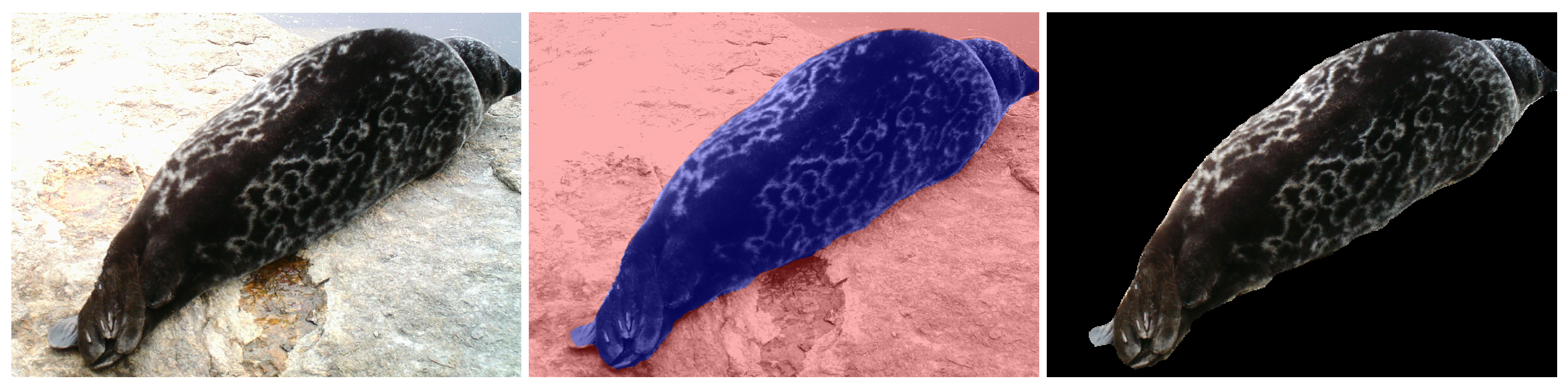 Sensors 22 07602 g004 Sensors 22 07602 g004