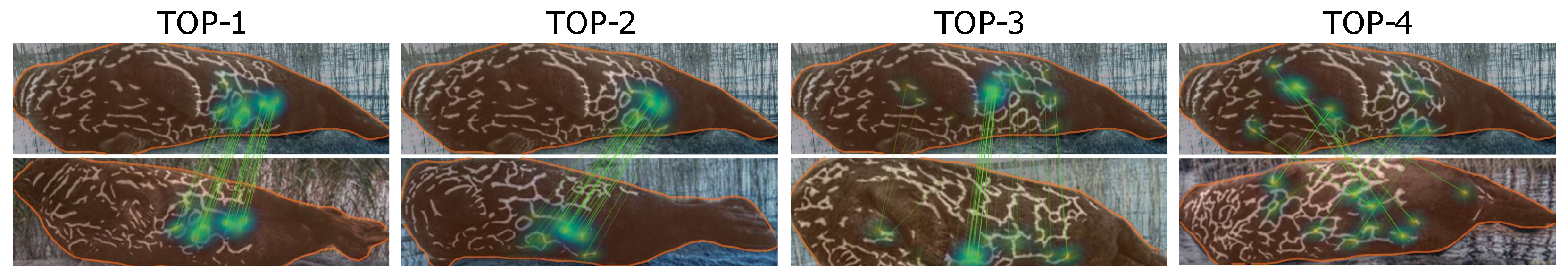 Sensors 22 07602 g008 Sensors 22 07602 g008