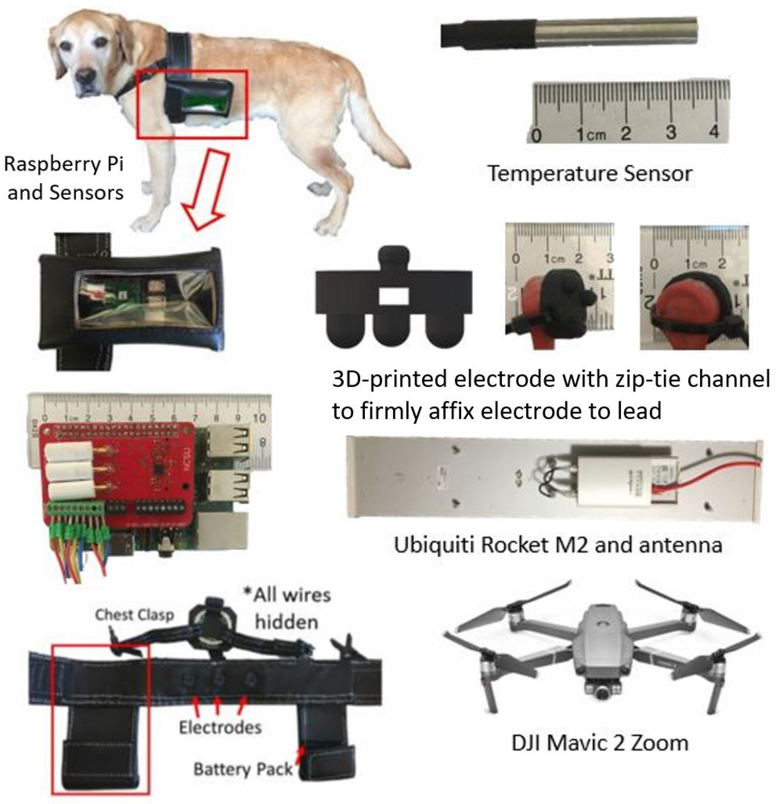 Sensors 22 07631 g001