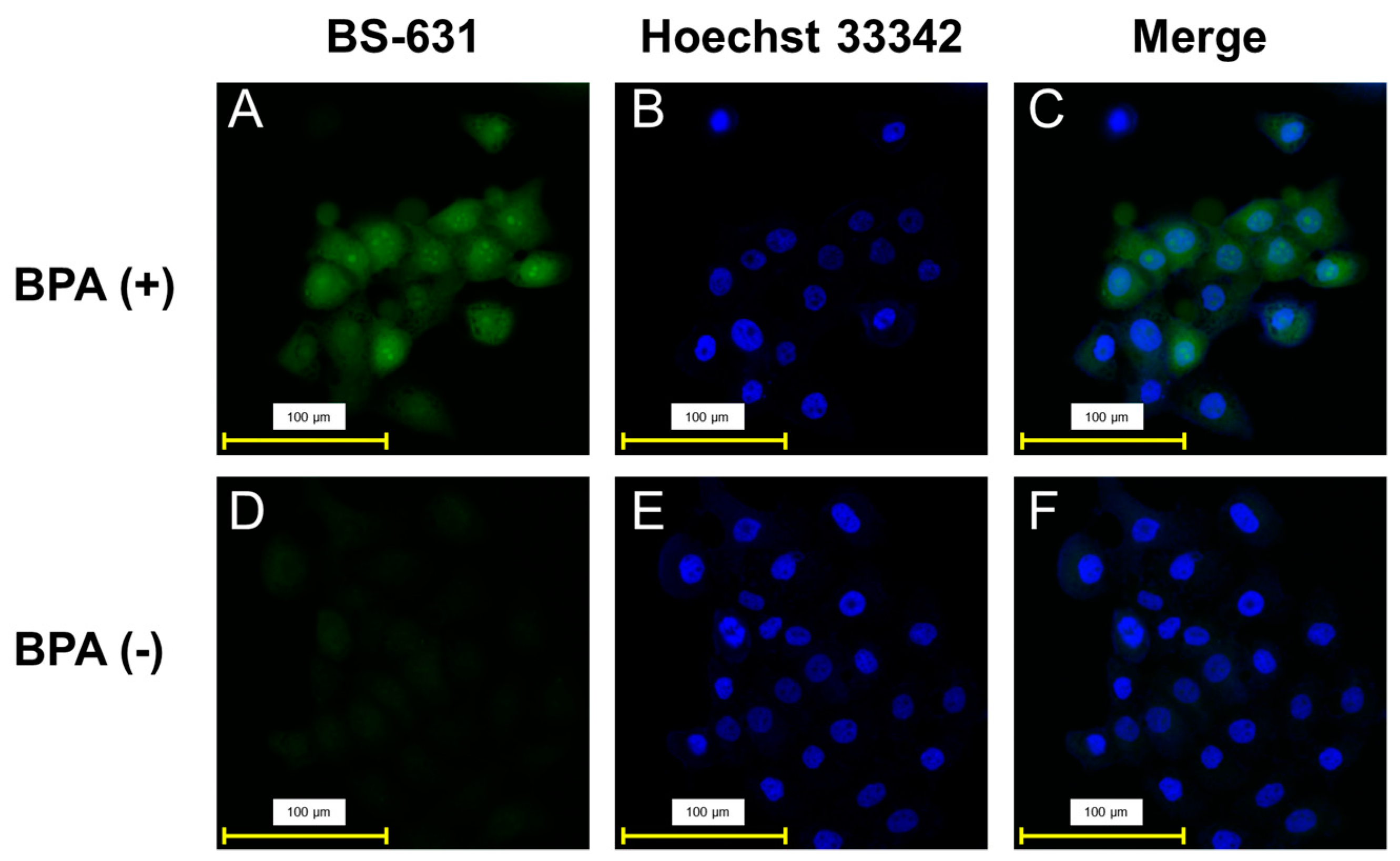 Sensors 22 07671 g004