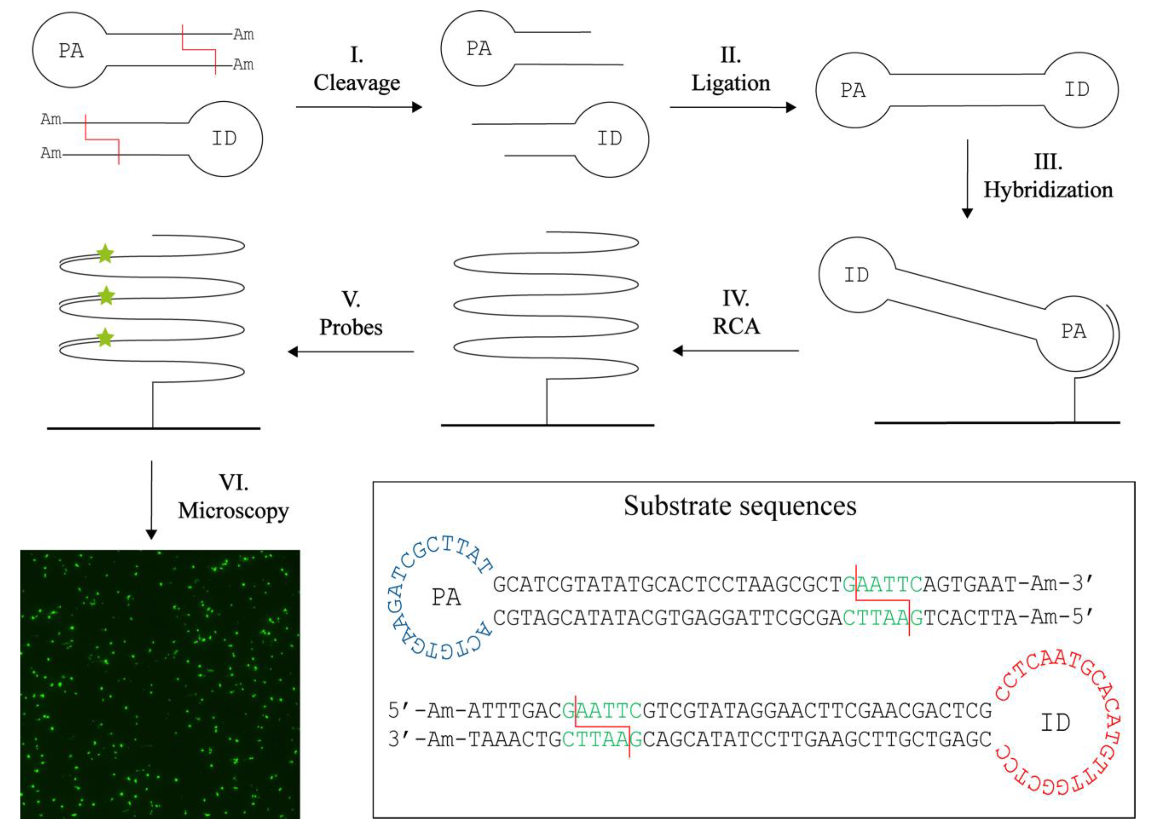 Sensors 22 07763 g001