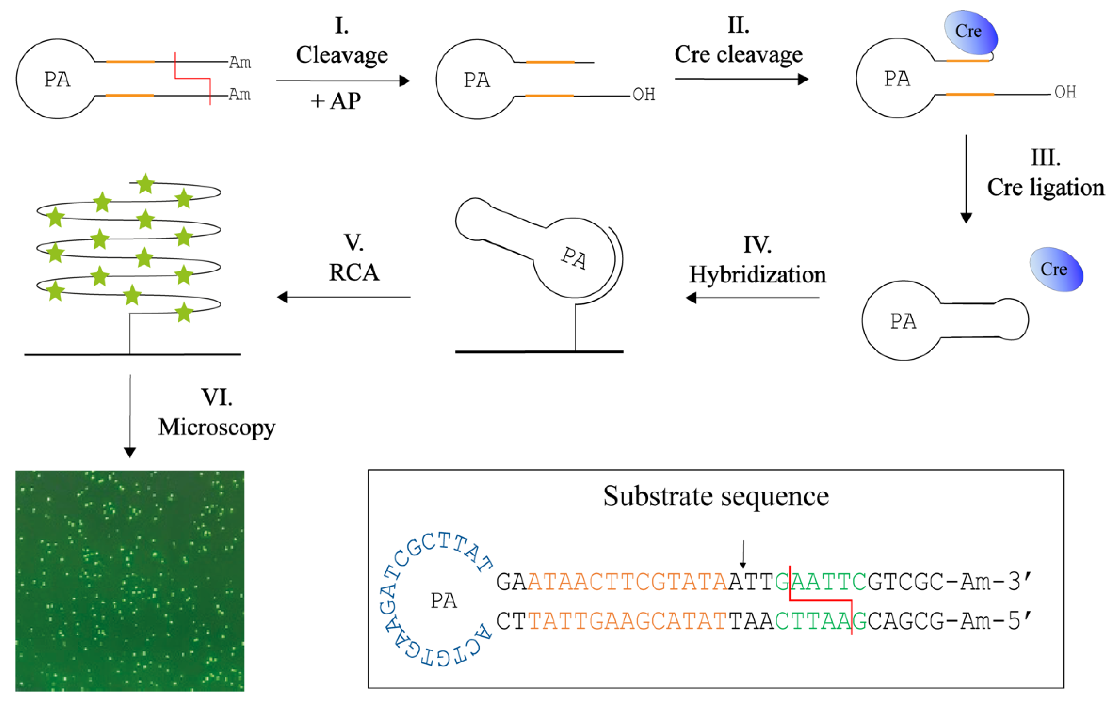 Sensors 22 07763 g004