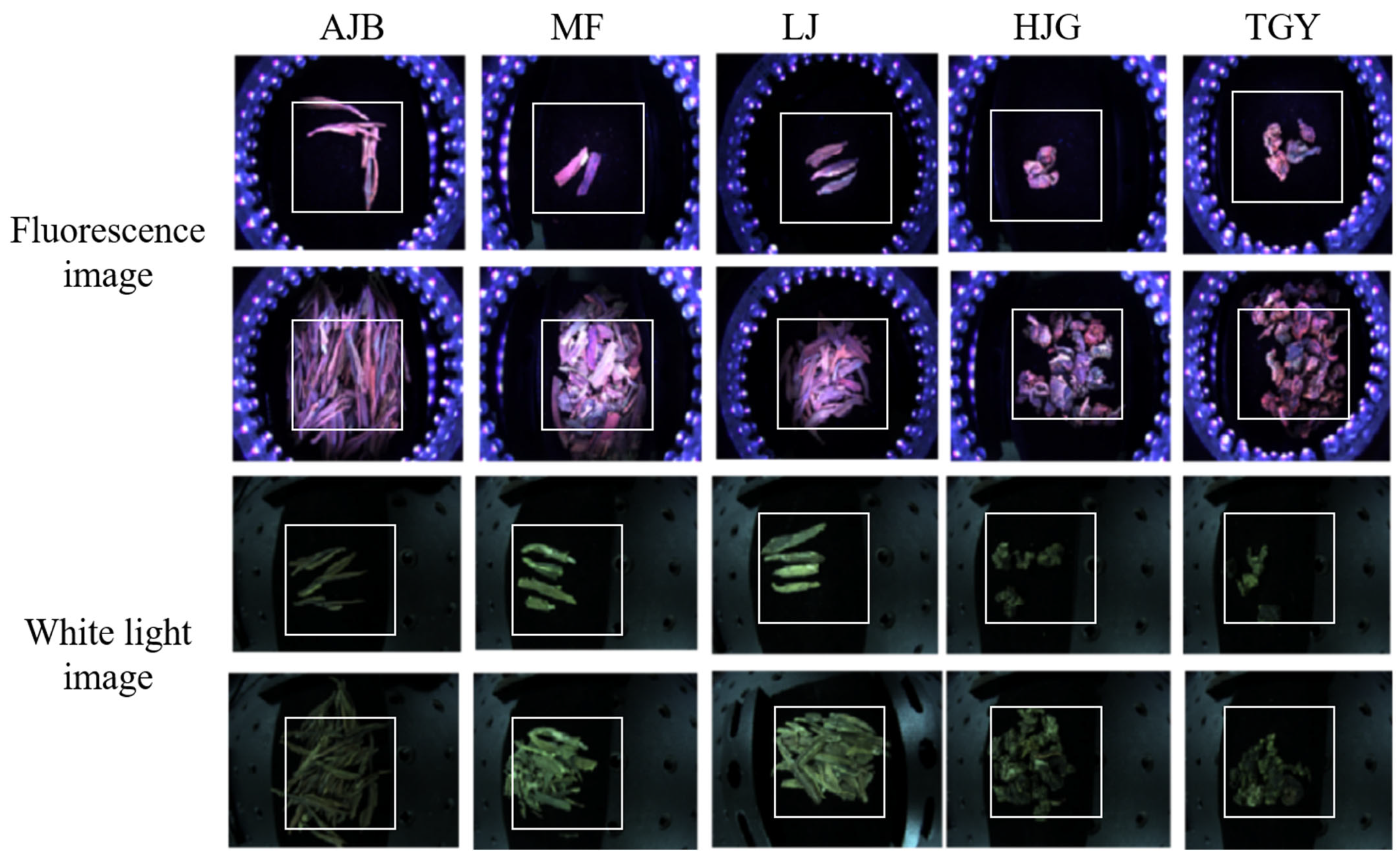 Sensors 22 07764 g002