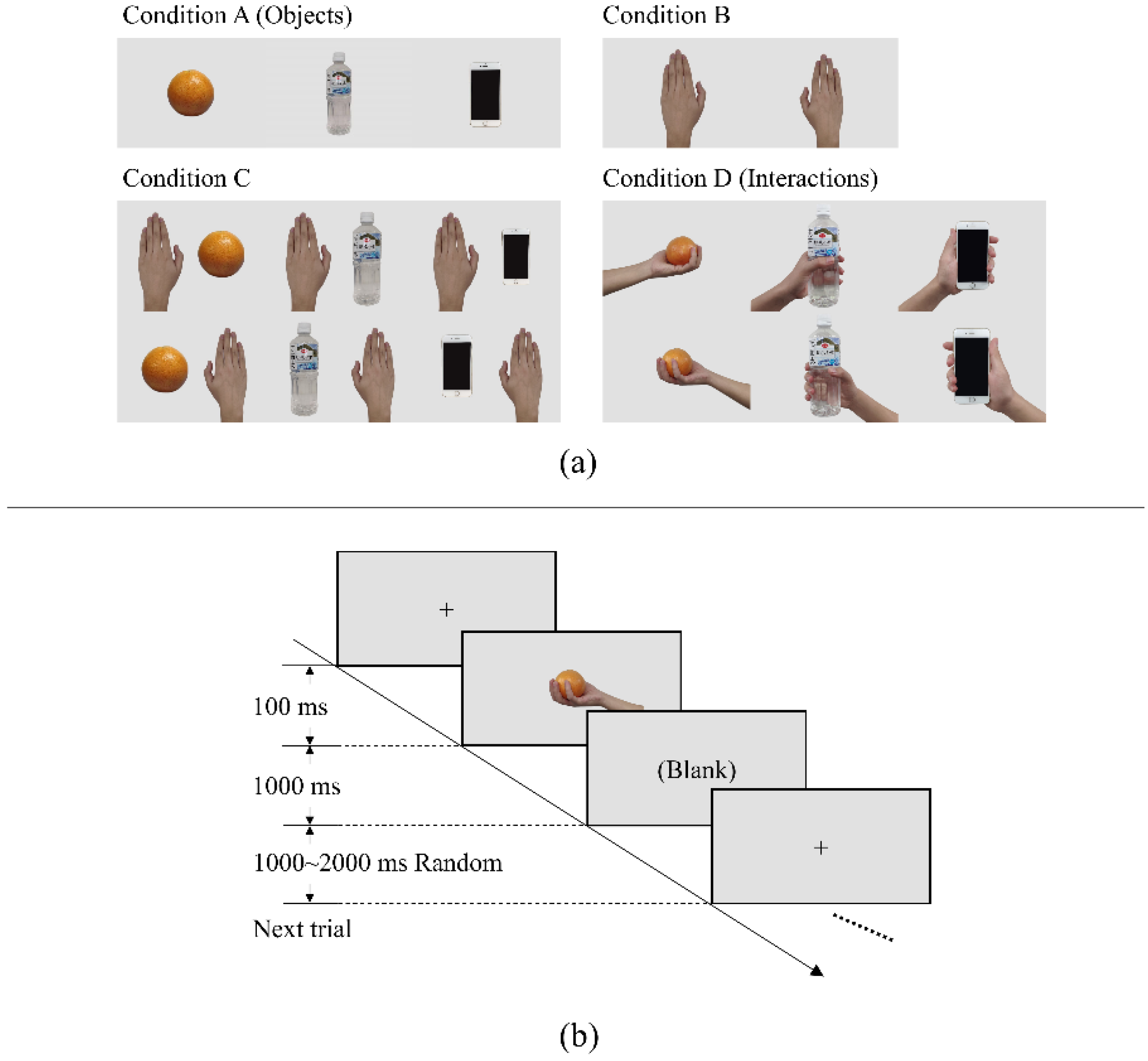 Sensors 22 07771 g001 Sensors 22 07771 g001