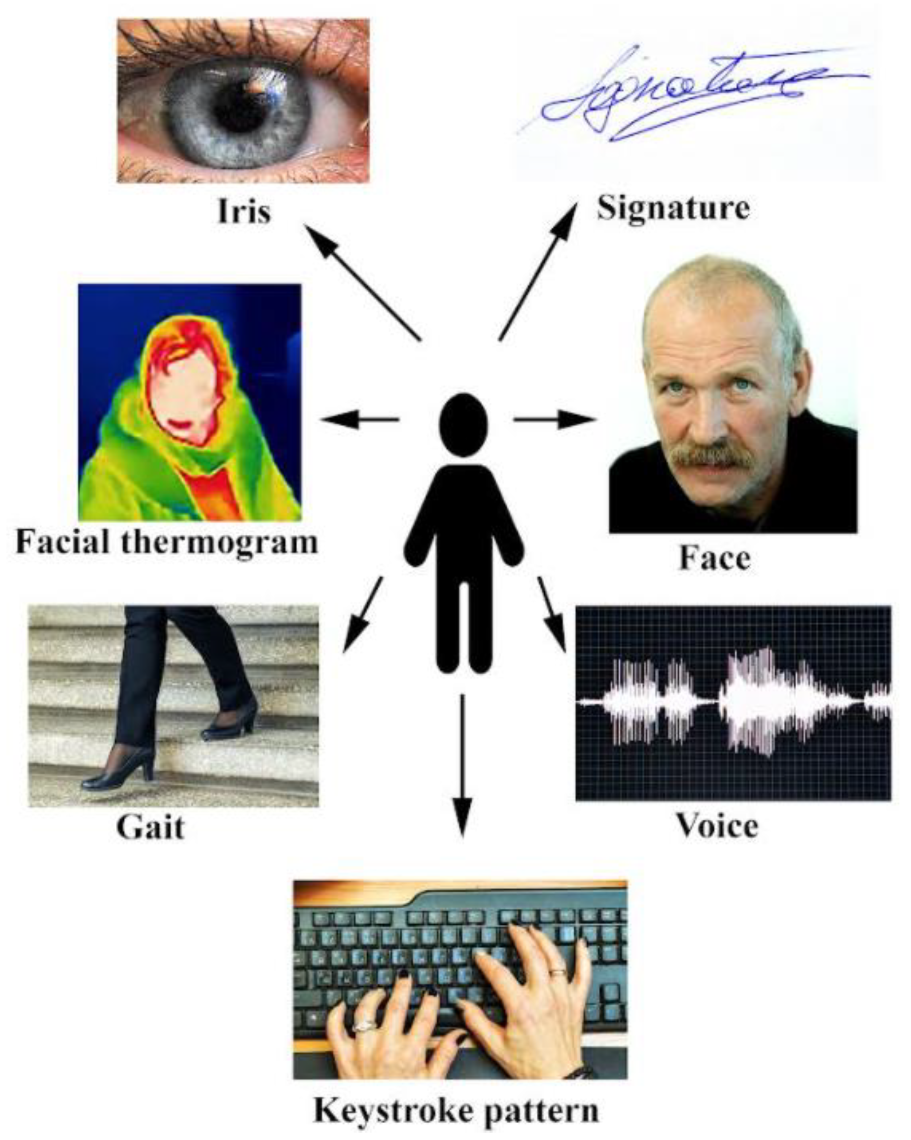 Sensors 22 07824 g009