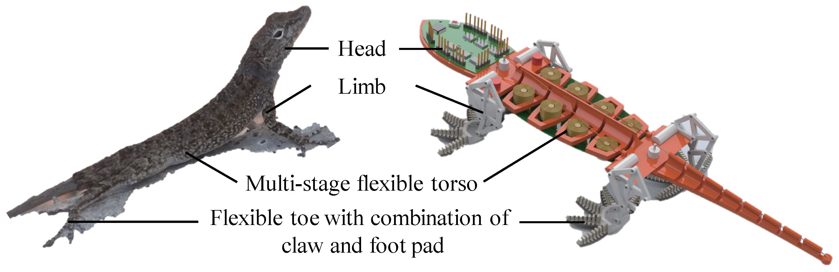 Sensors 22 07826 g006 Sensors 22 07826 g006