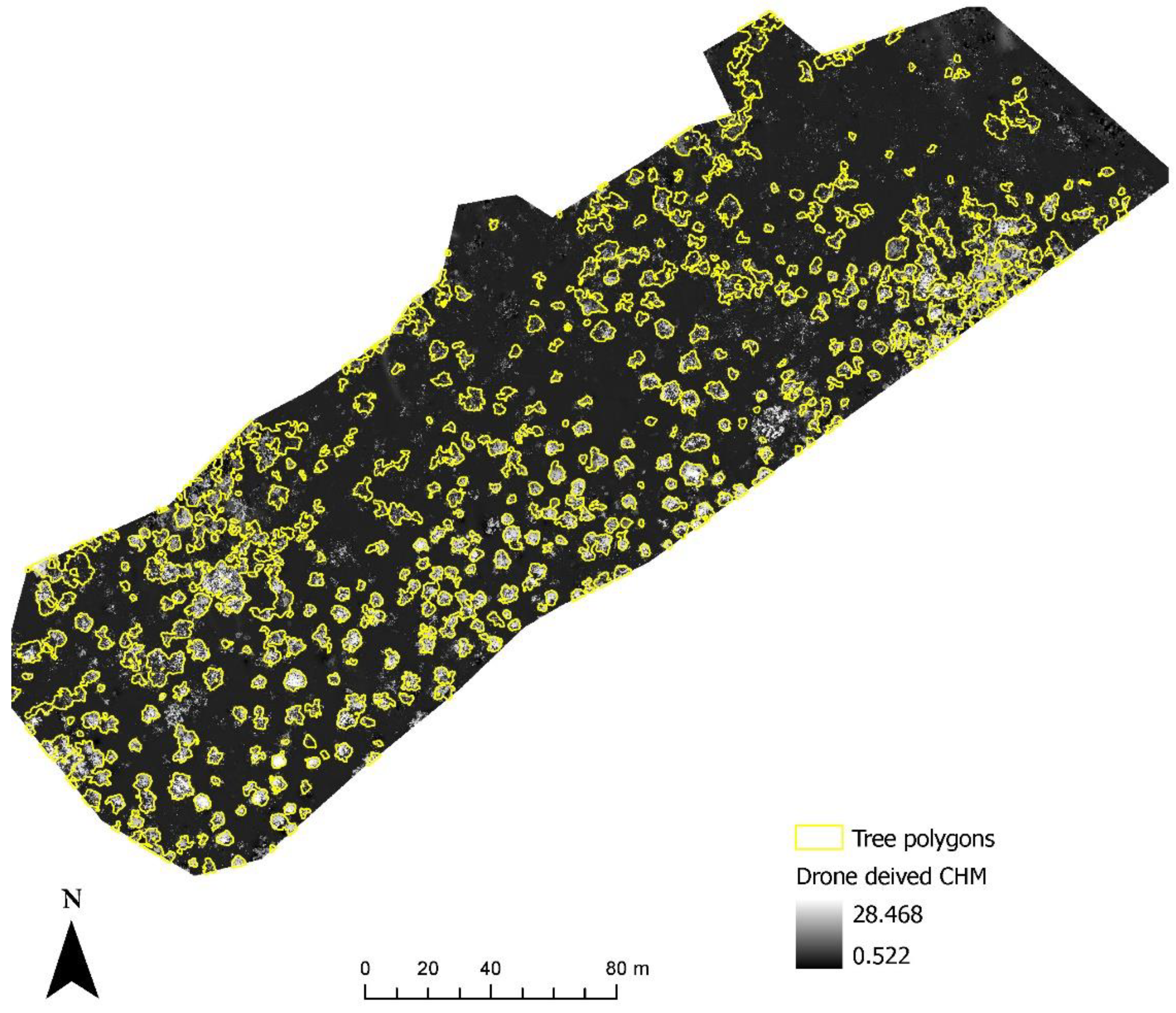 Sensors 22 07872 g010