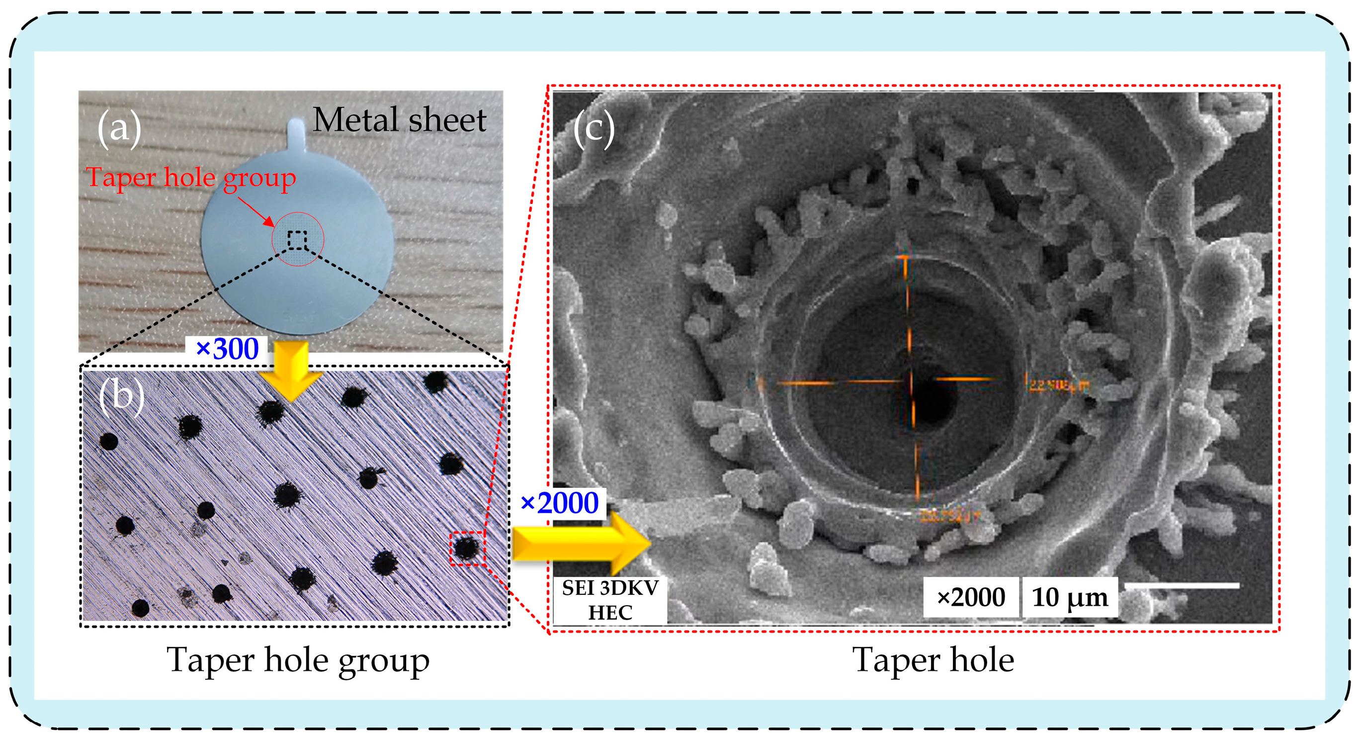 Sensors 22 07891 g003