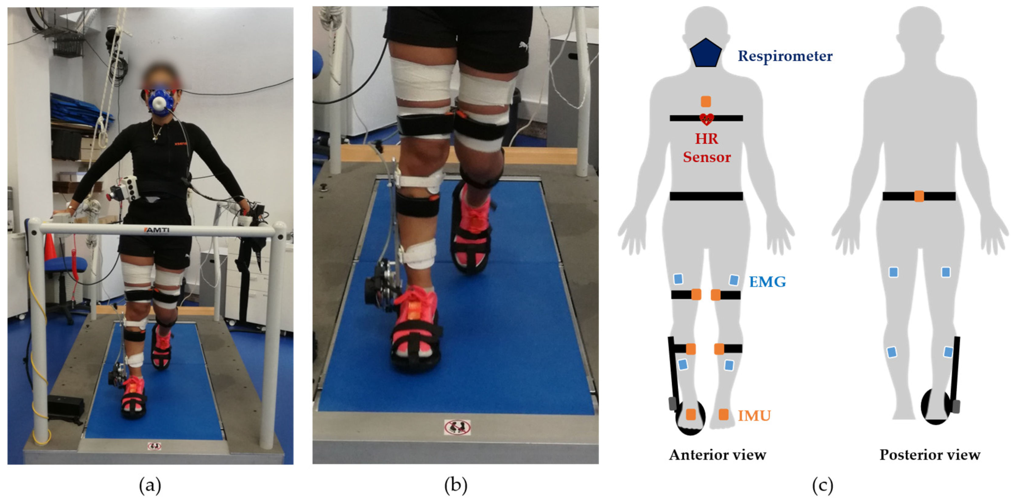 Sensors 22 07913 g001