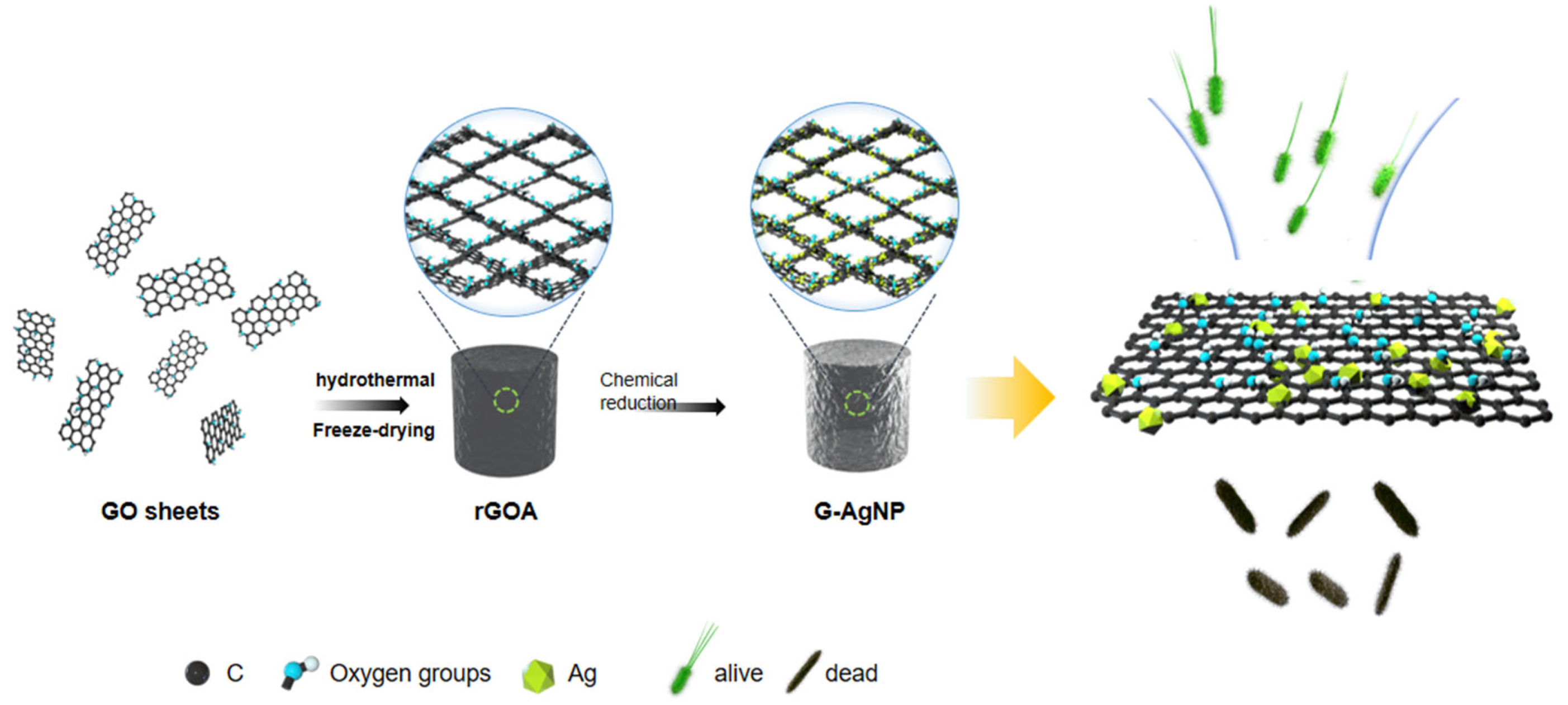 Sensors 22 07952 g001