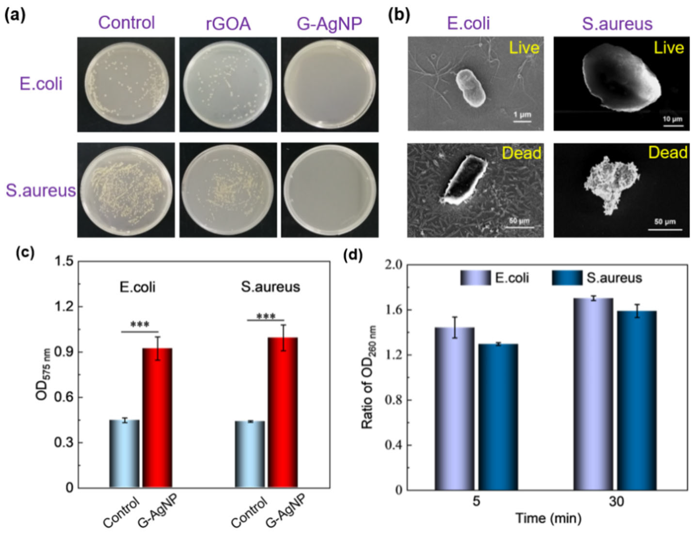 Sensors 22 07952 g004