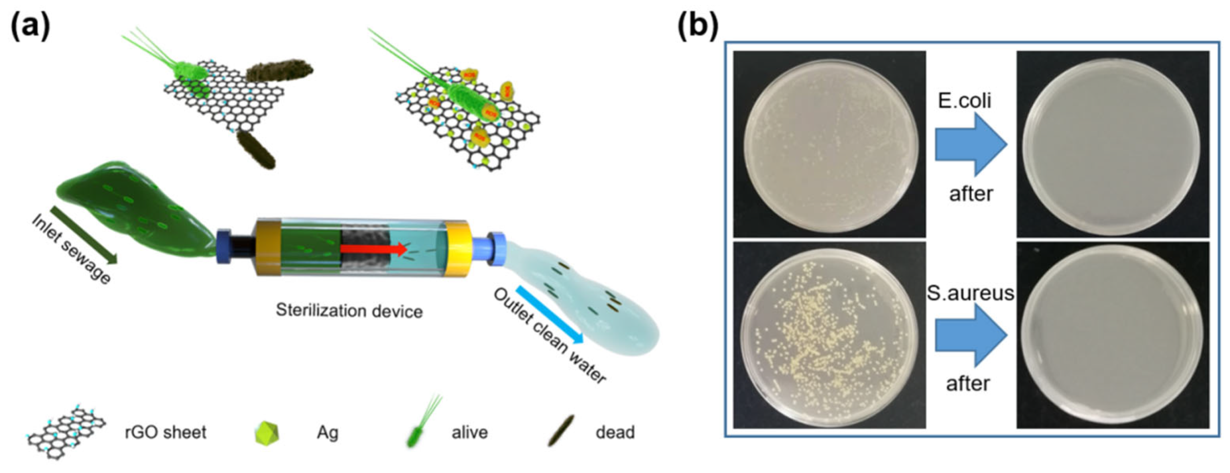 Sensors 22 07952 g005