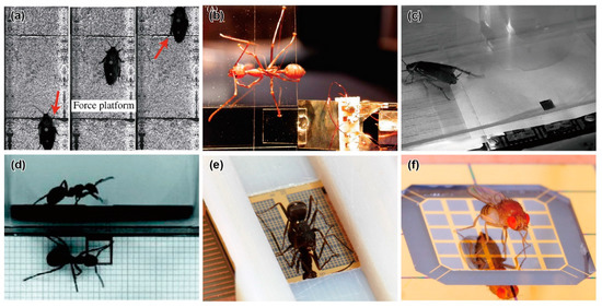 Sensors 22 08018 g002