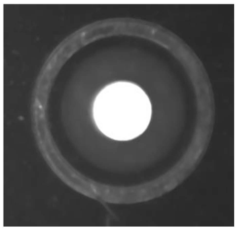 Sensors 22 08120 g010