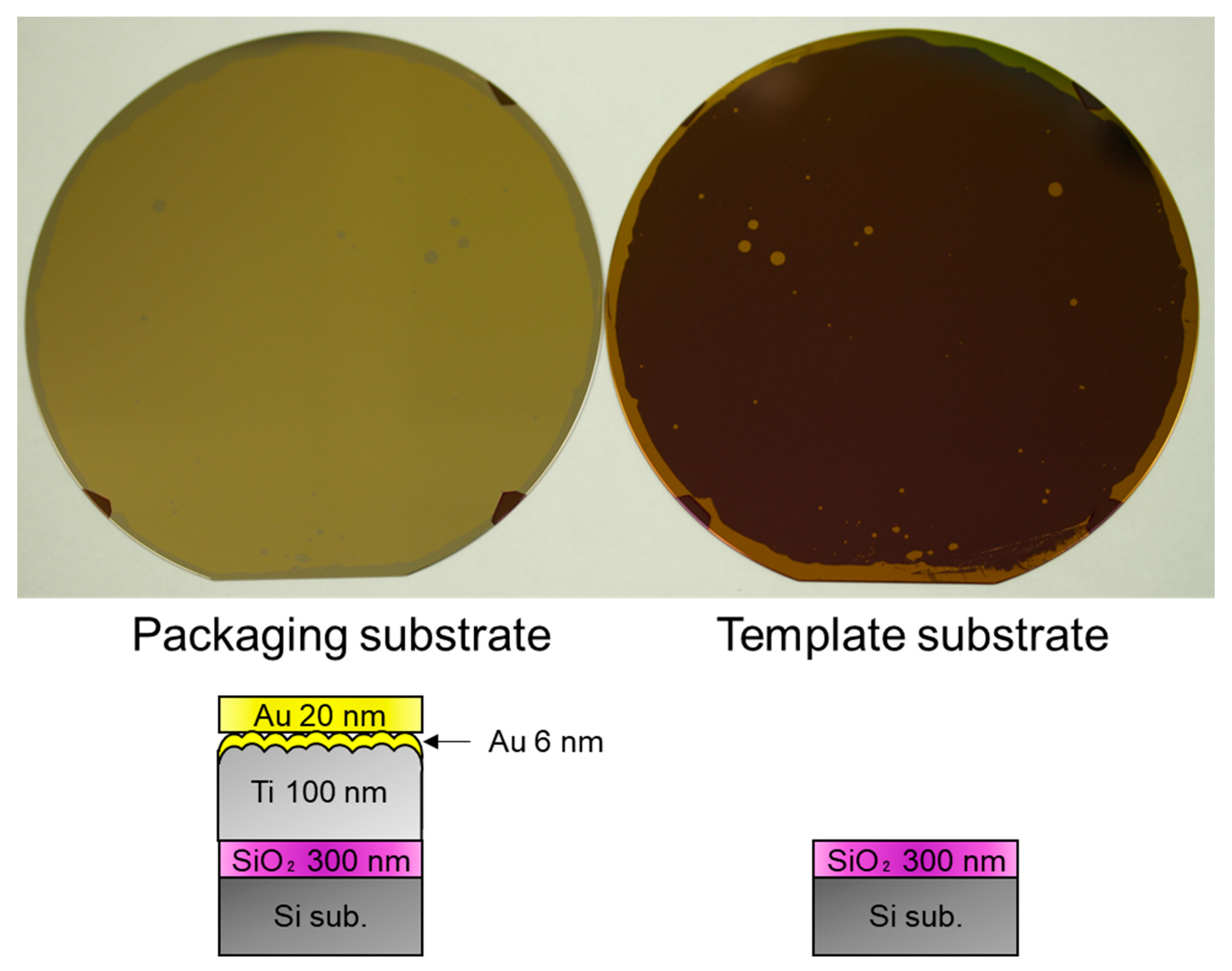 Sensors 22 08144 g003 Sensors 22 08144 g003