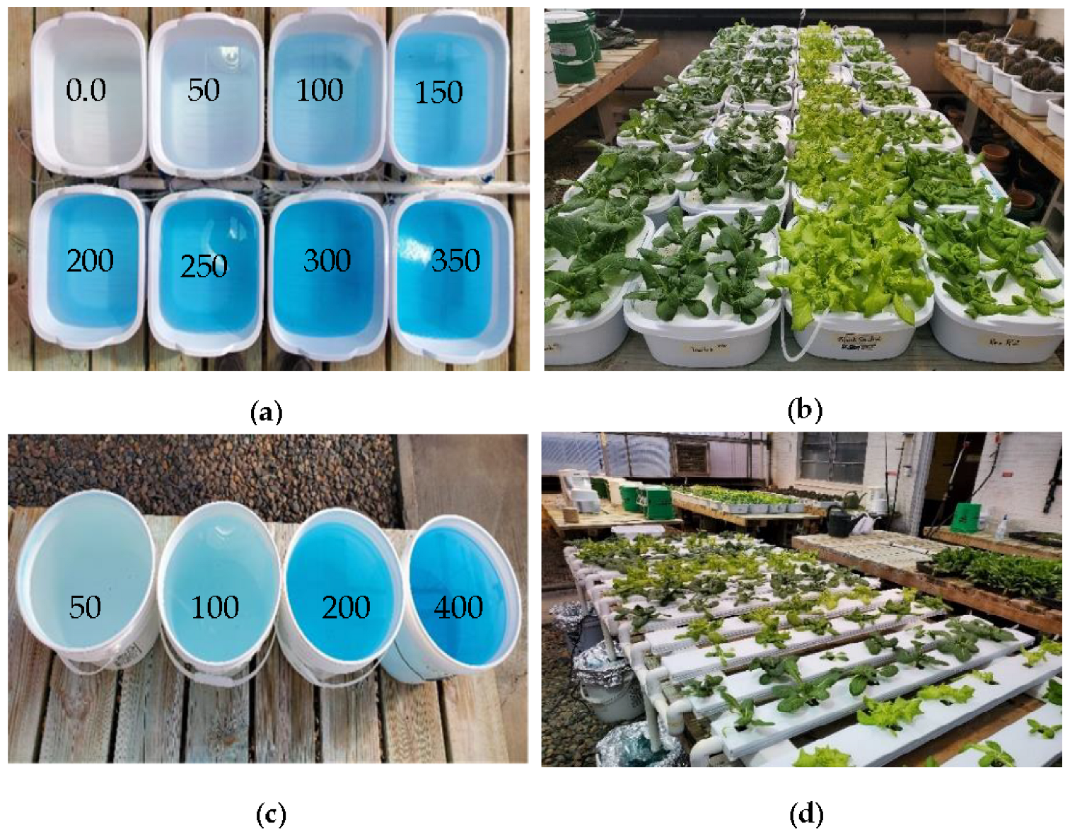 Sensors 22 08158 g001