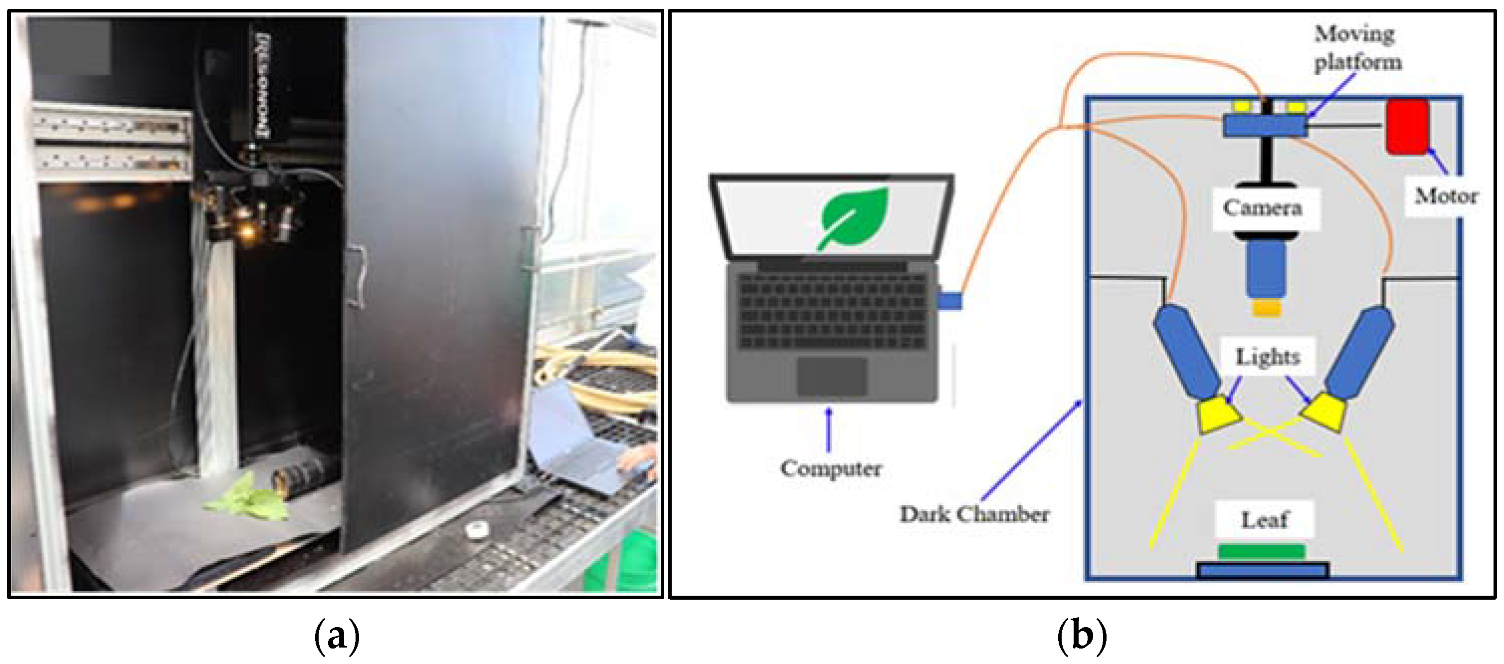 Sensors 22 08158 g002