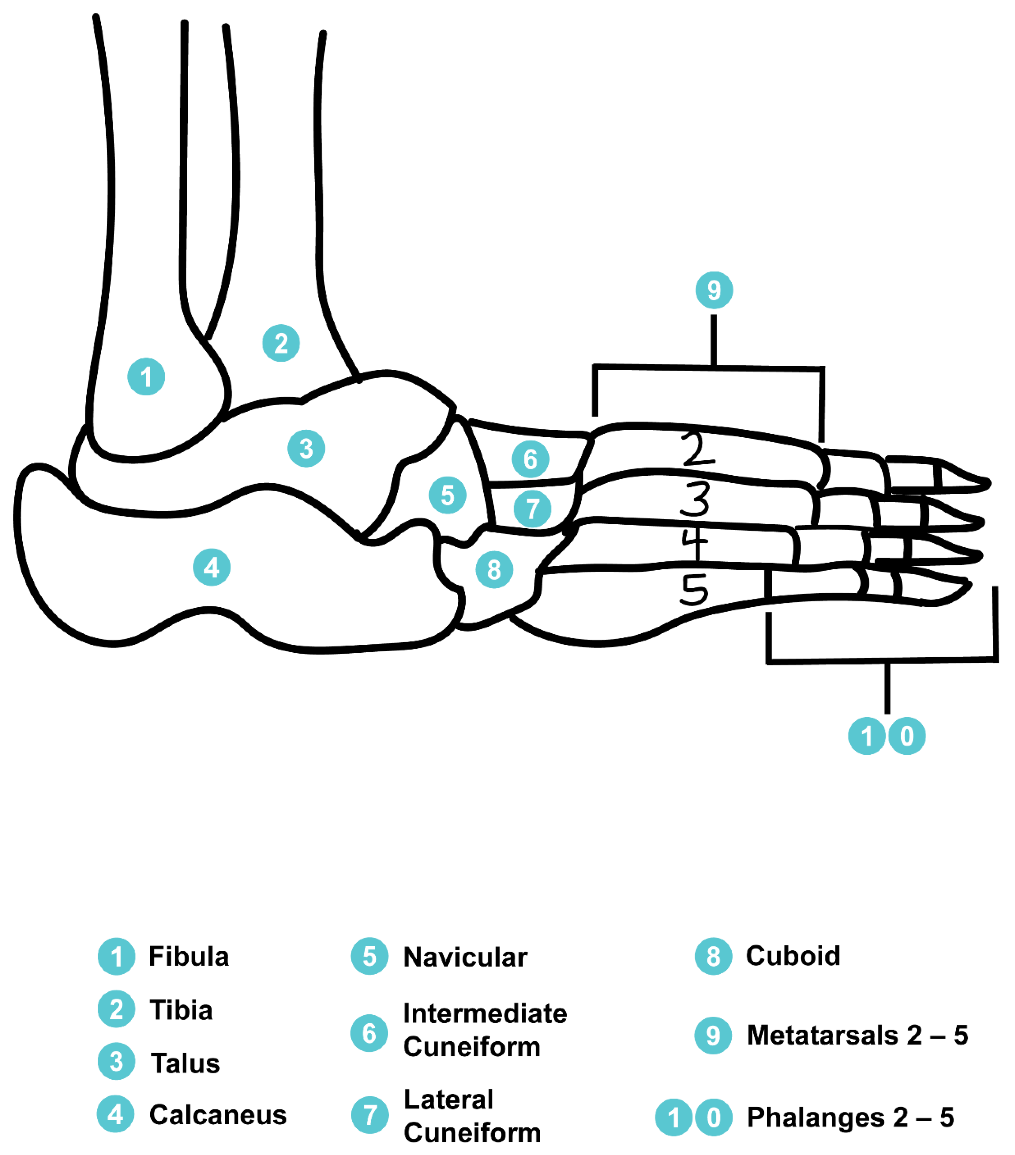 Sensors 22 08168 g001