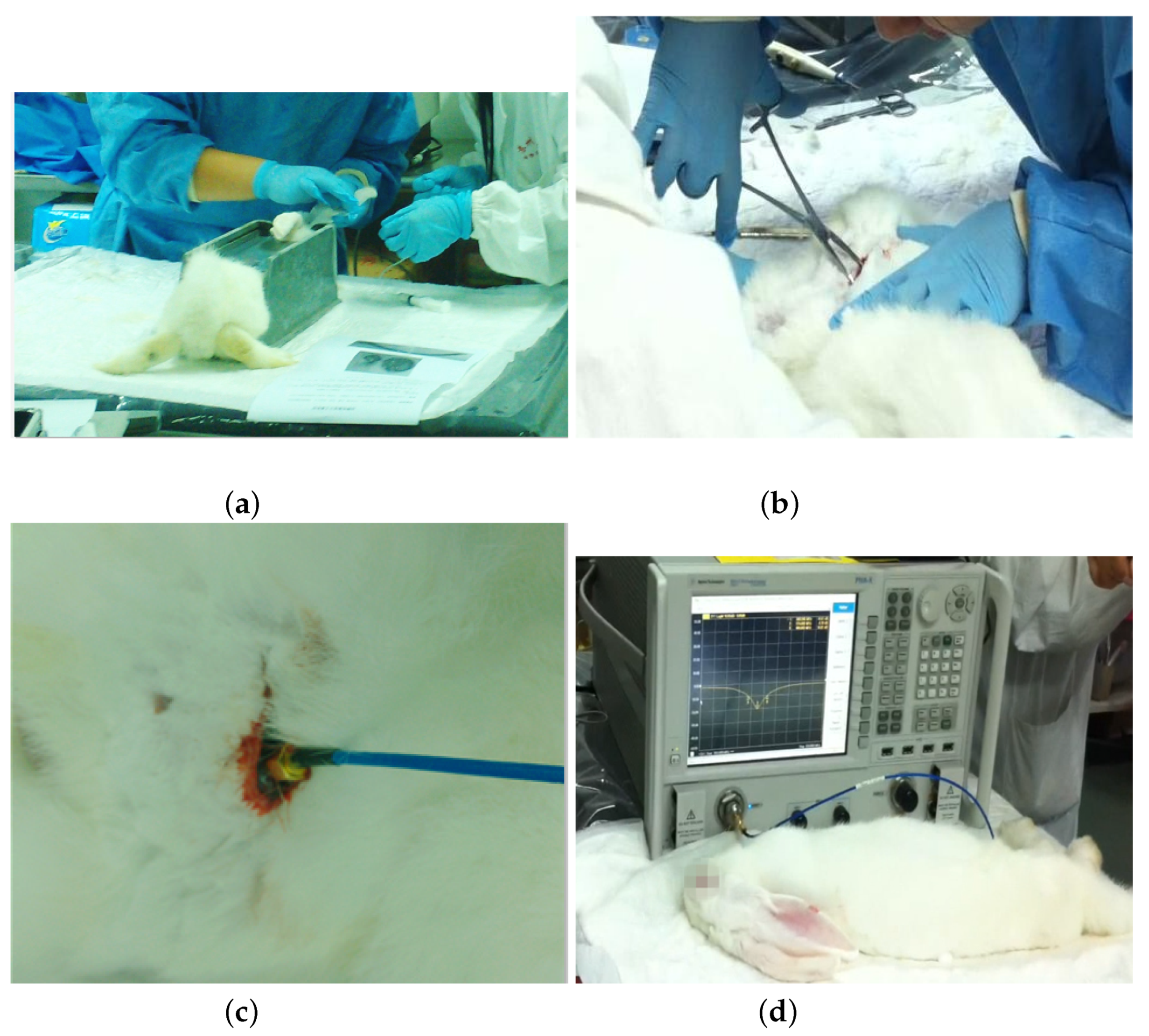 Sensors 22 08182 g013