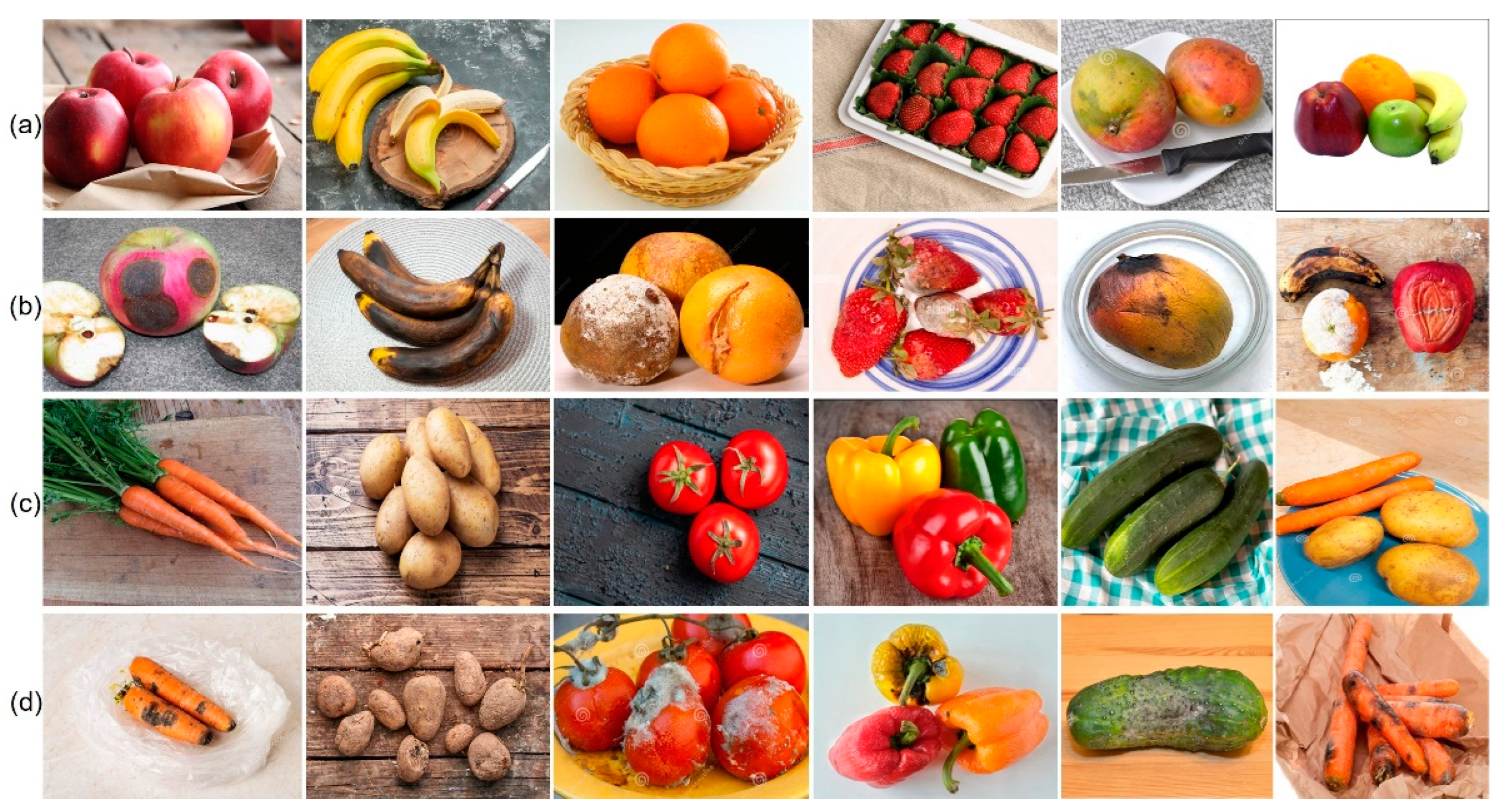 Sensors 22 08192 g001 Sensors 22 08192 g001