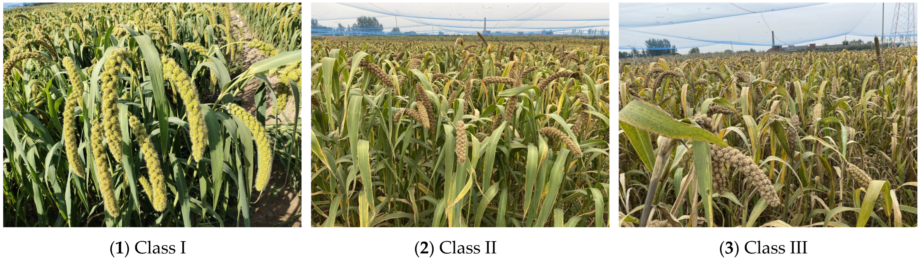 Sensors 22 08206 g001