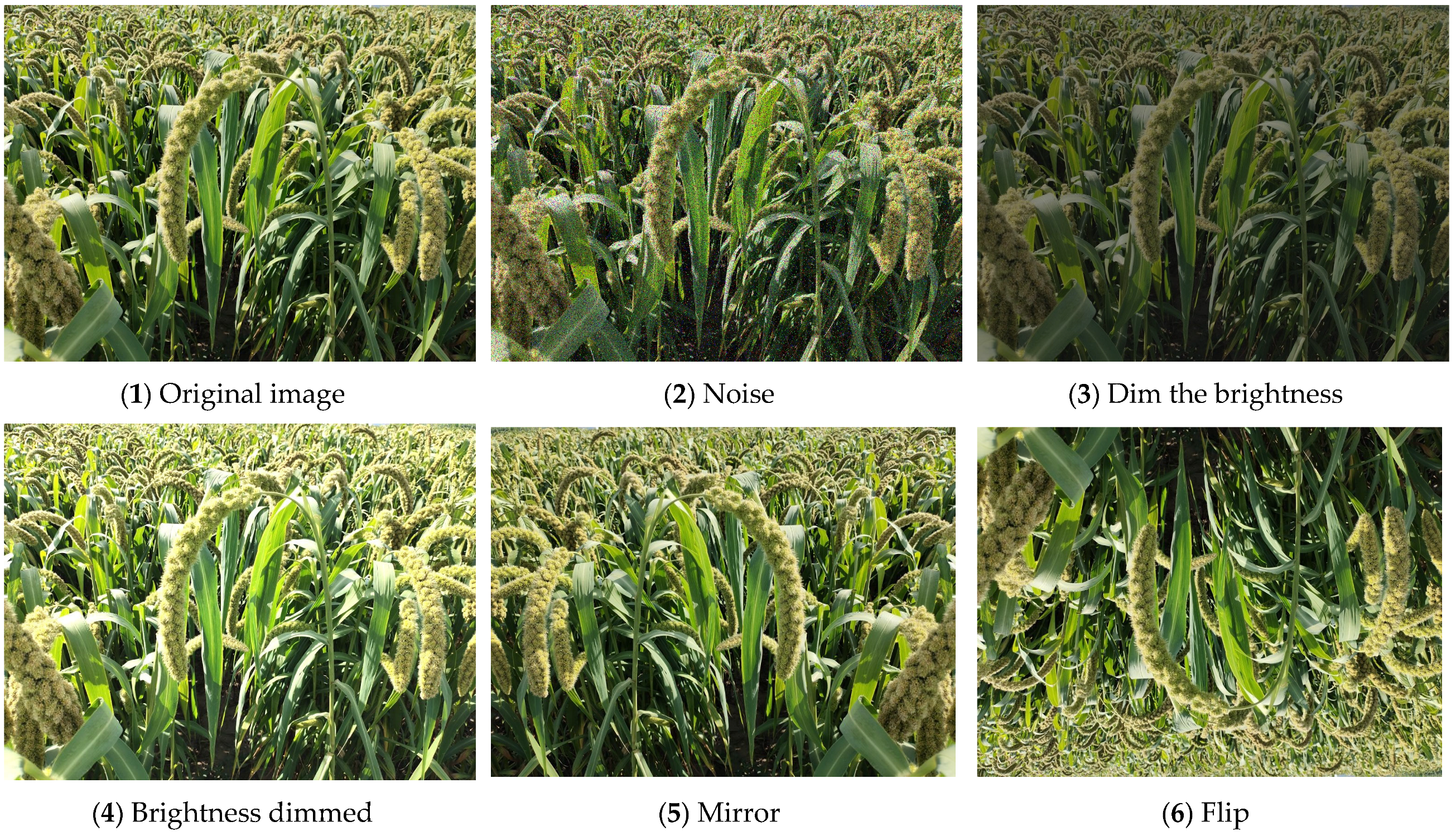 Sensors 22 08206 g002