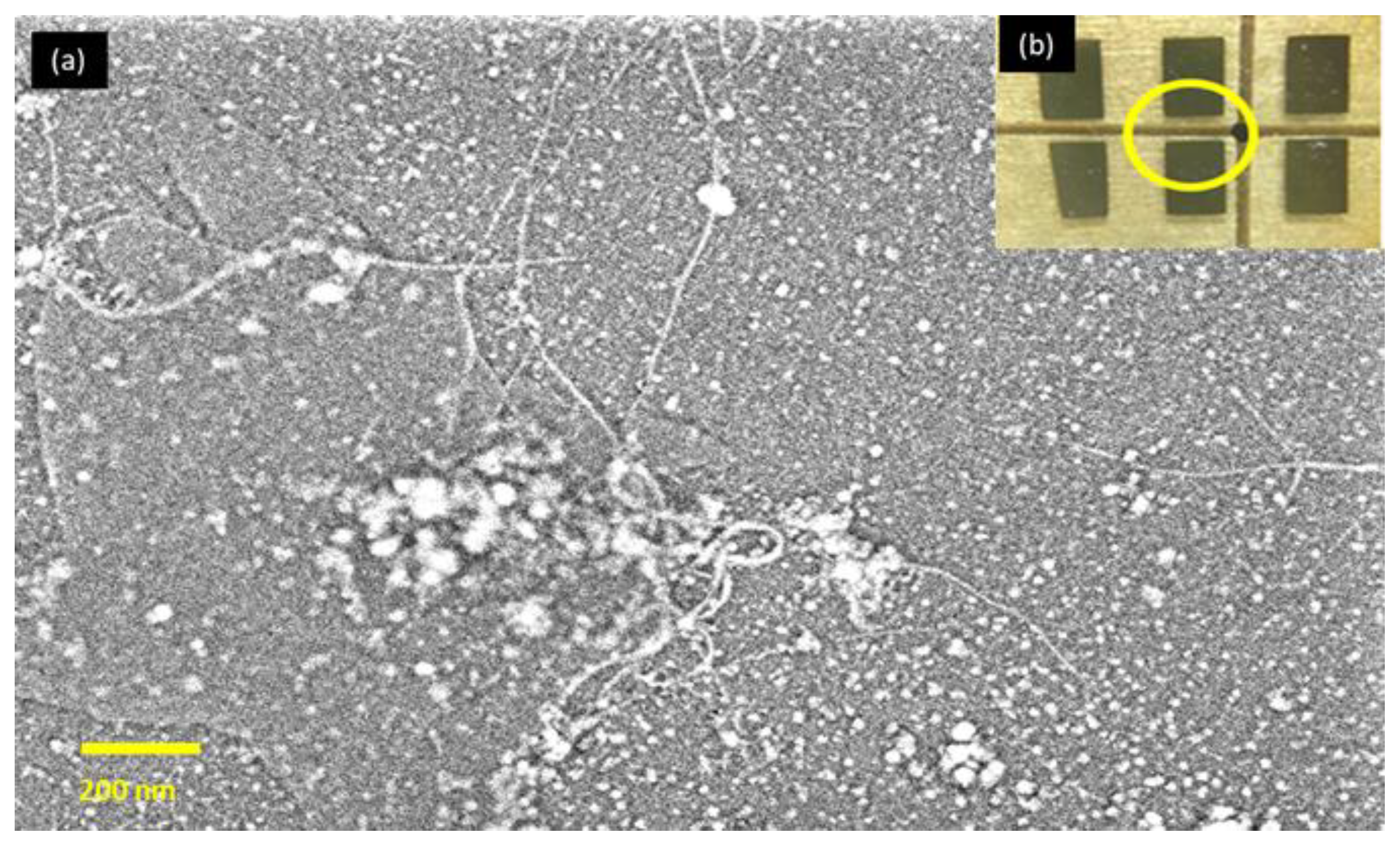 Sensors 22 08212 g006