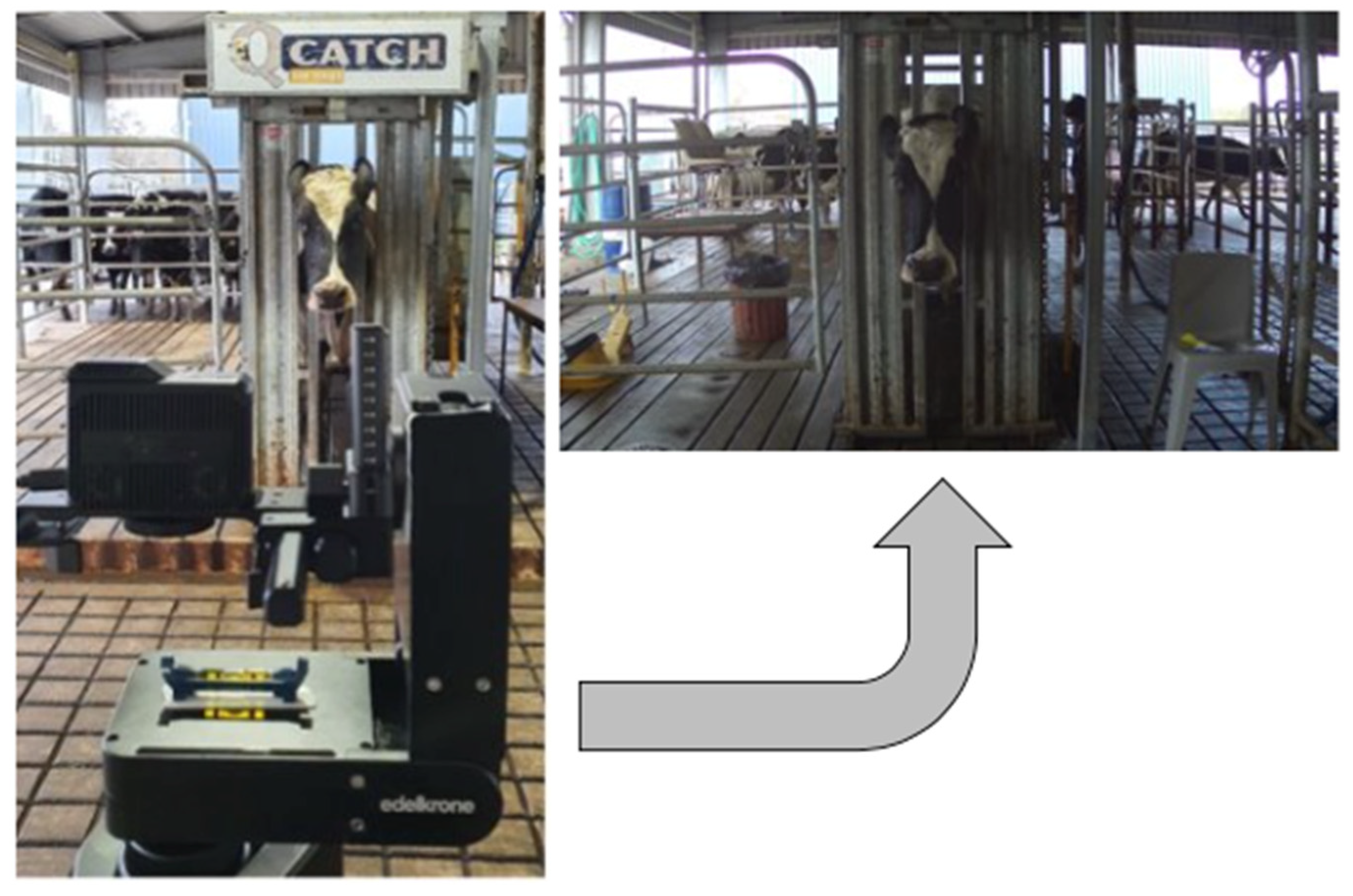 Sensors 22 08256 g001 Sensors 22 08256 g001