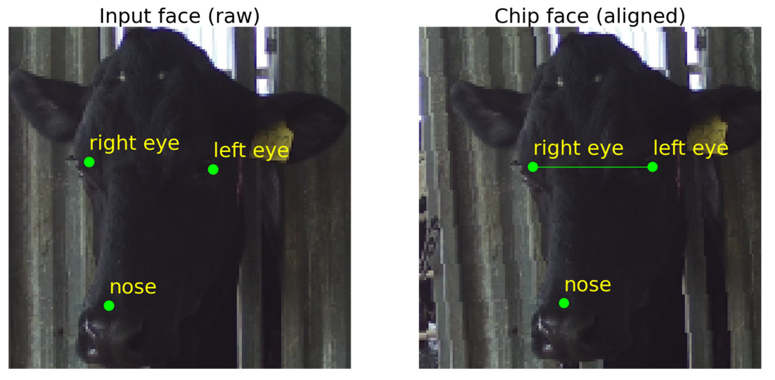 Sensors 22 08256 g004 Sensors 22 08256 g004