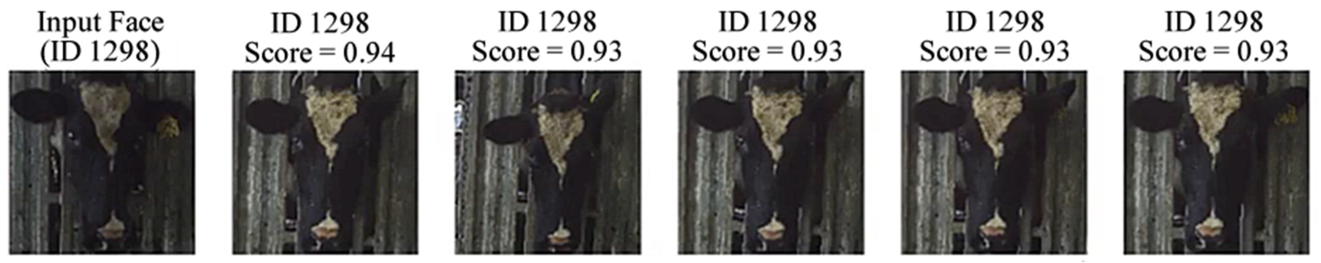 Sensors 22 08256 g005 Sensors 22 08256 g005