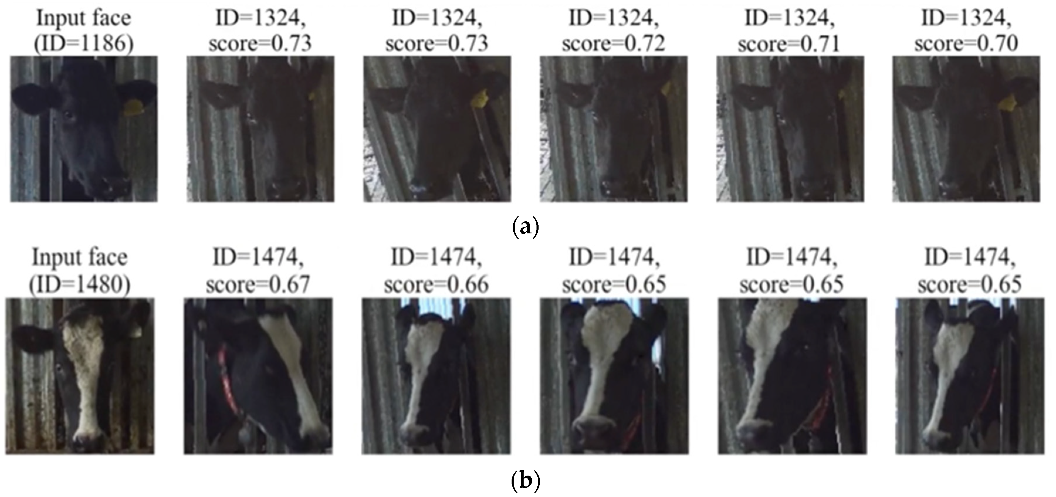Sensors 22 08256 g009 Sensors 22 08256 g009