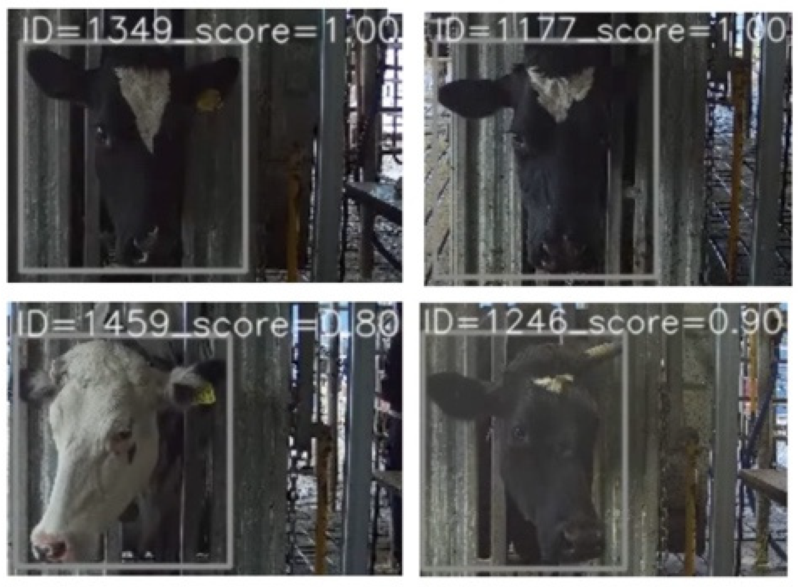 Sensors 22 08256 g011 Sensors 22 08256 g011