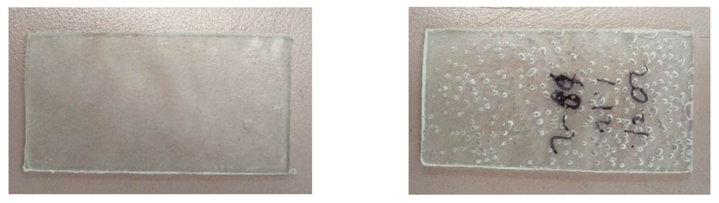 Sensors 22 08265 g014 Sensors 22 08265 g014