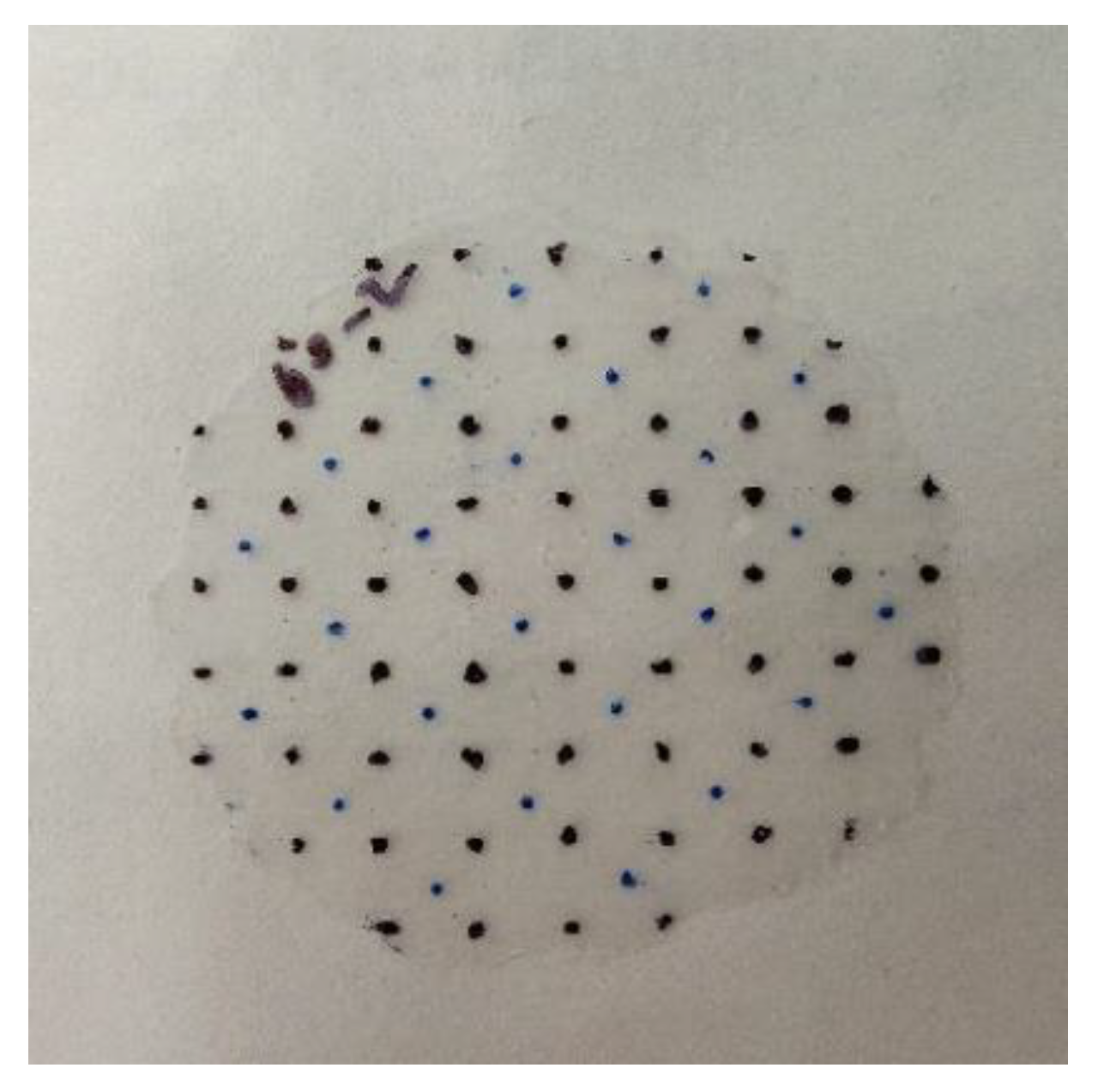 Sensors 22 08265 g019 Sensors 22 08265 g019