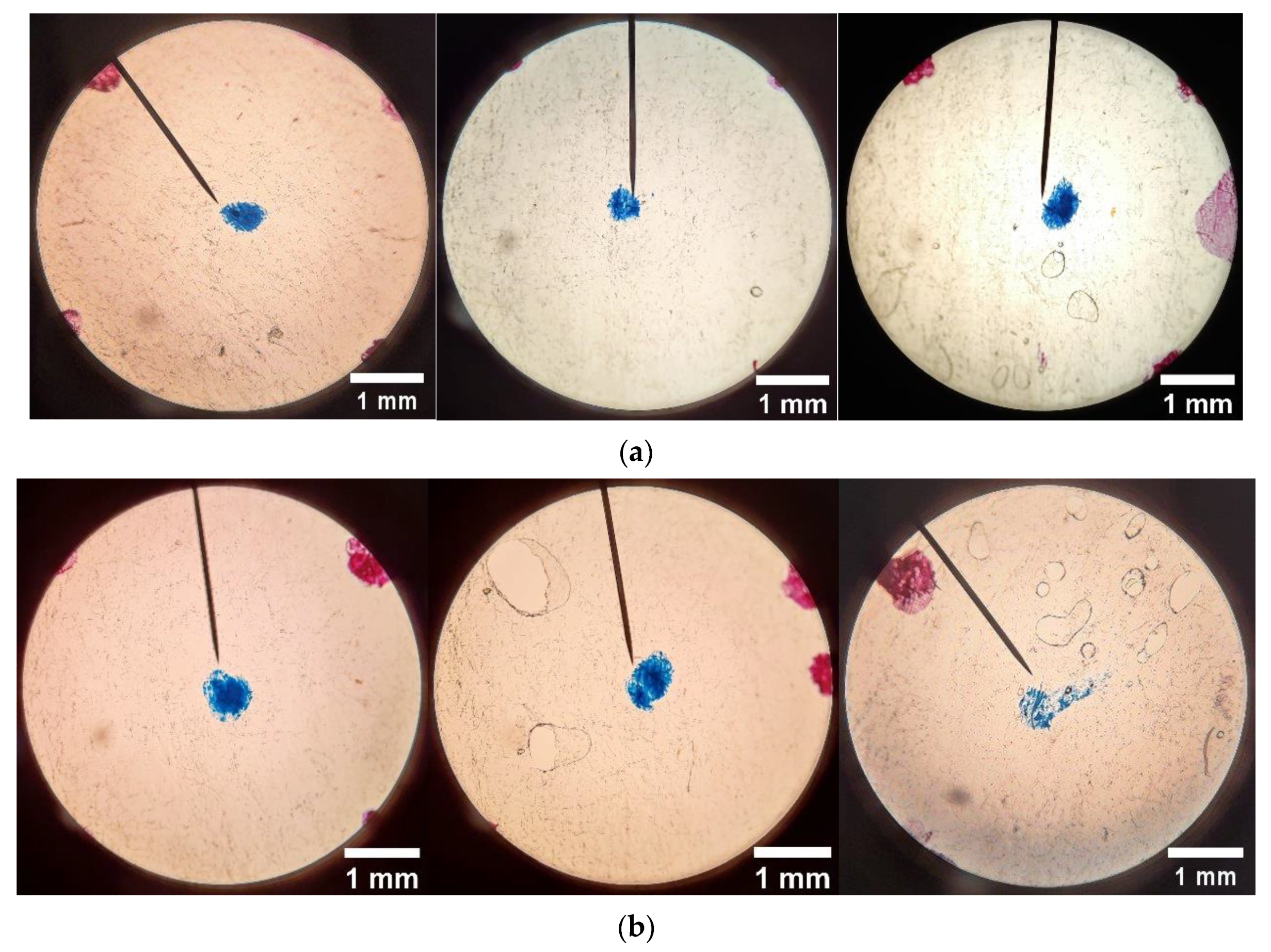 Sensors 22 08265 g020a Sensors 22 08265 g020a