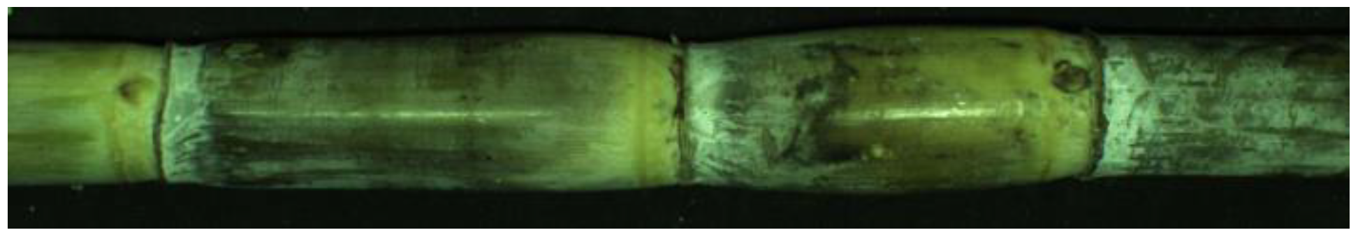 Sensors 22 08266 g007