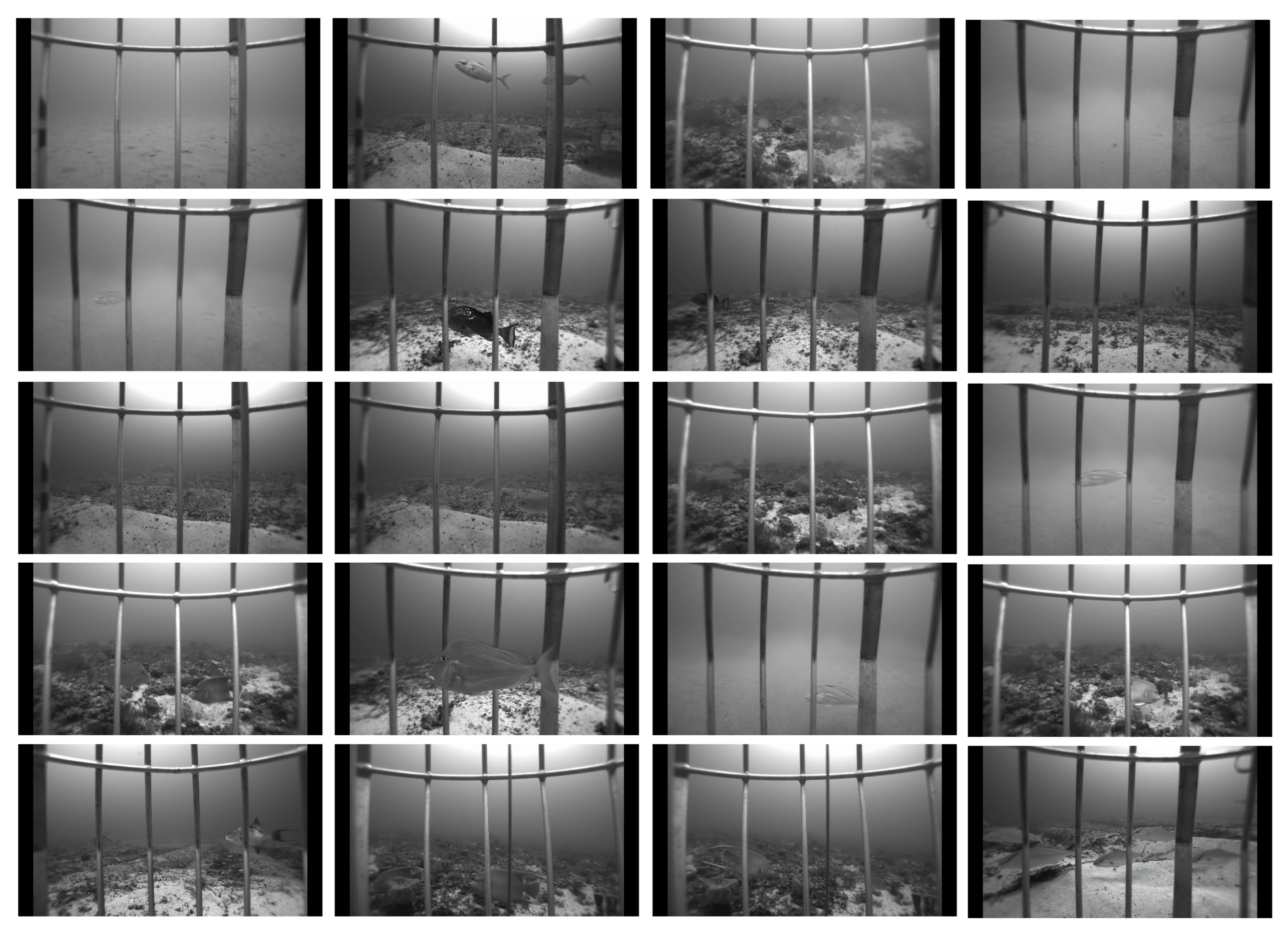 Sensors 22 08268 g004