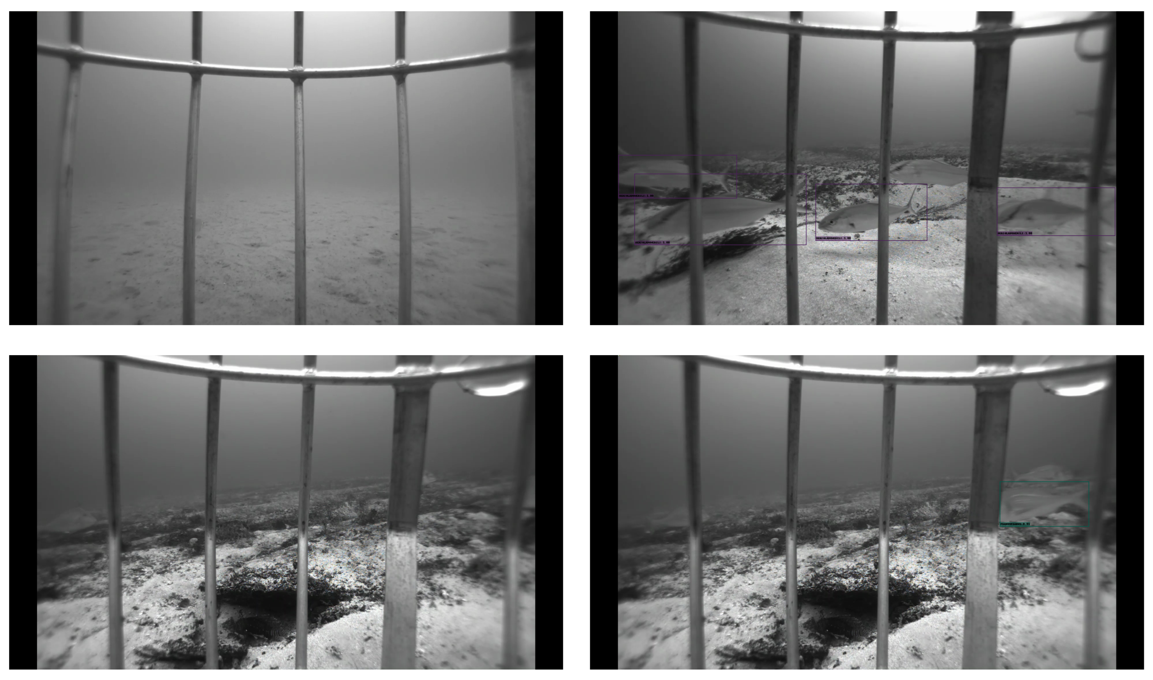 Sensors 22 08268 g006b