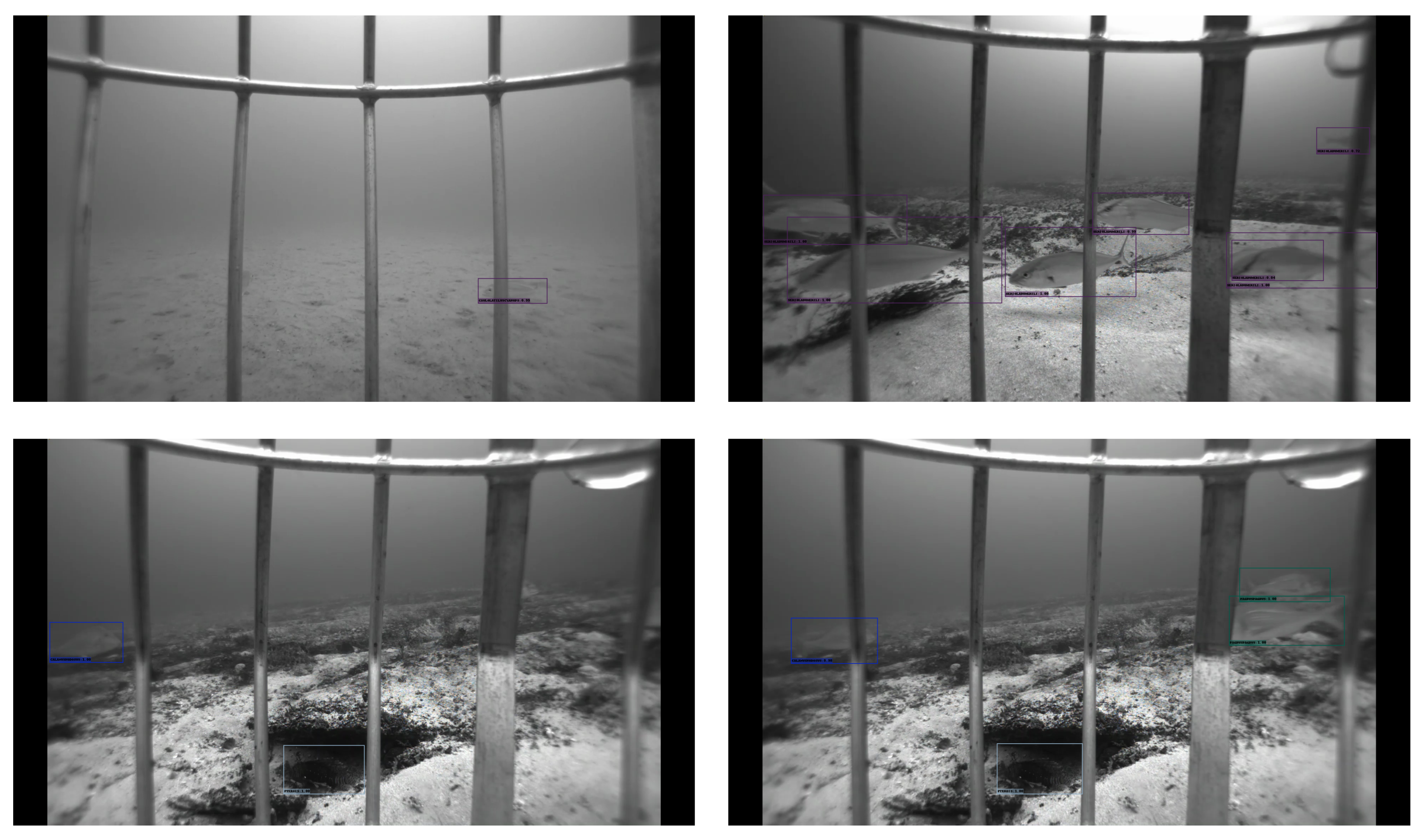 Sensors 22 08268 g007b