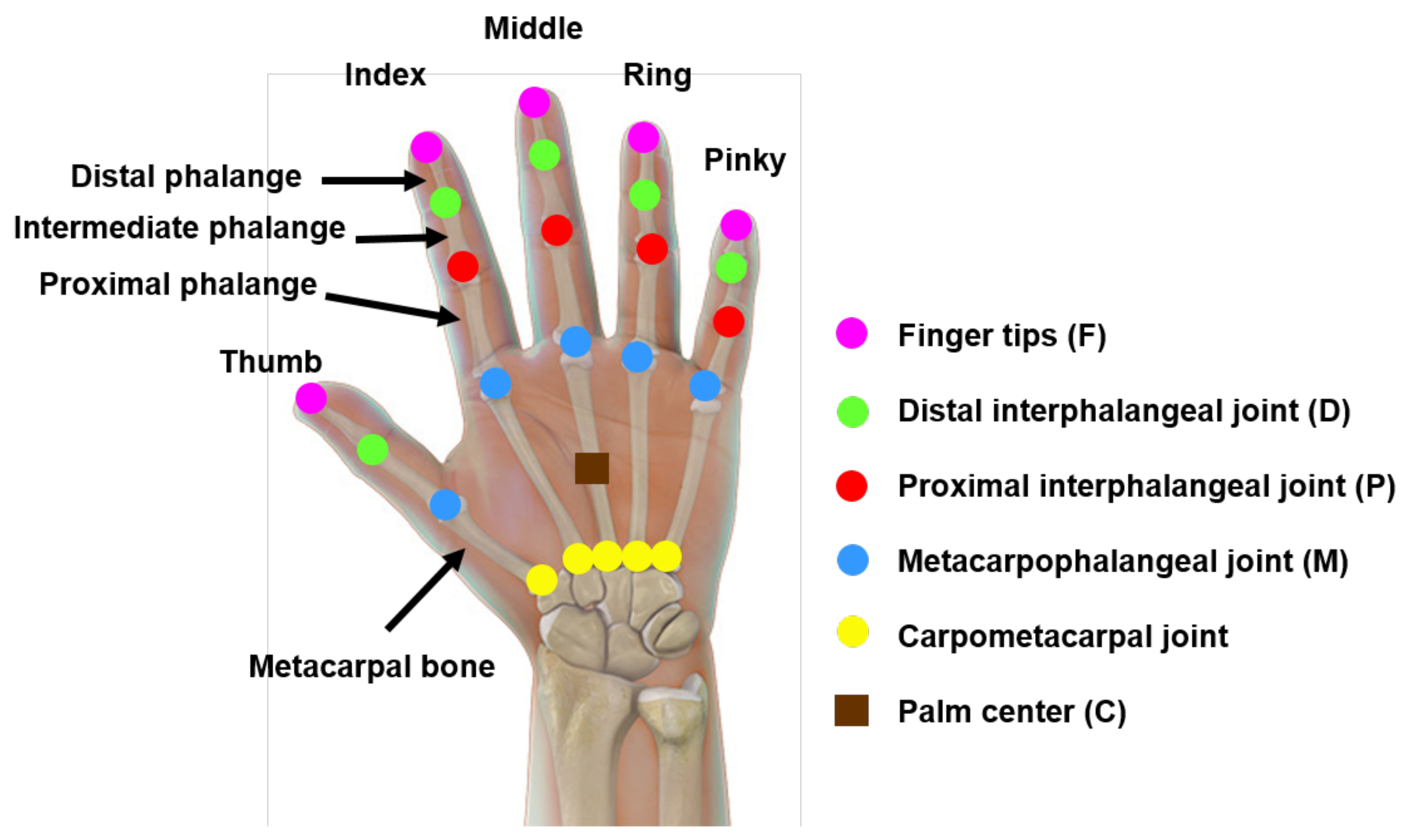 Sensors 22 08273 g006