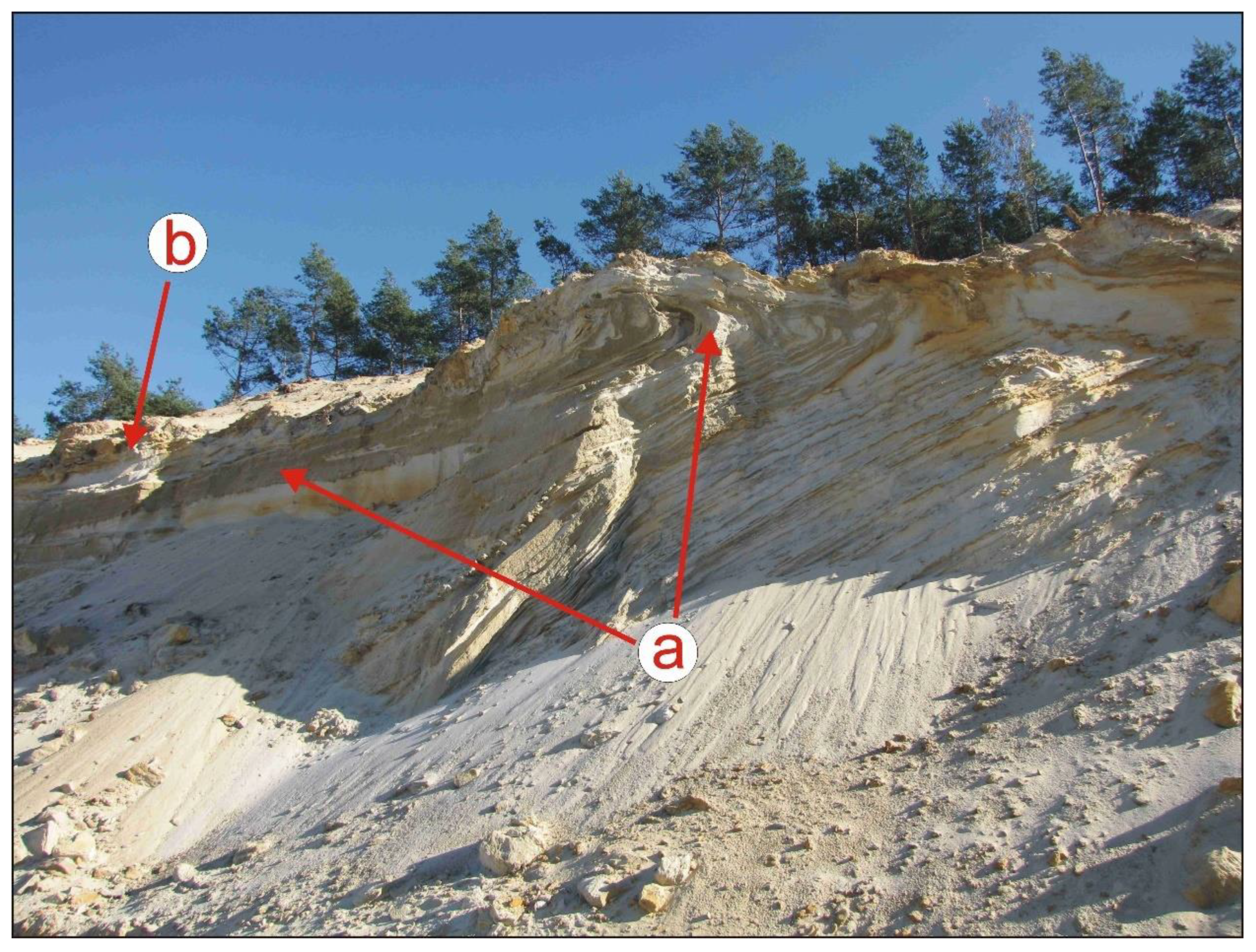 Sensors 22 08328 g005