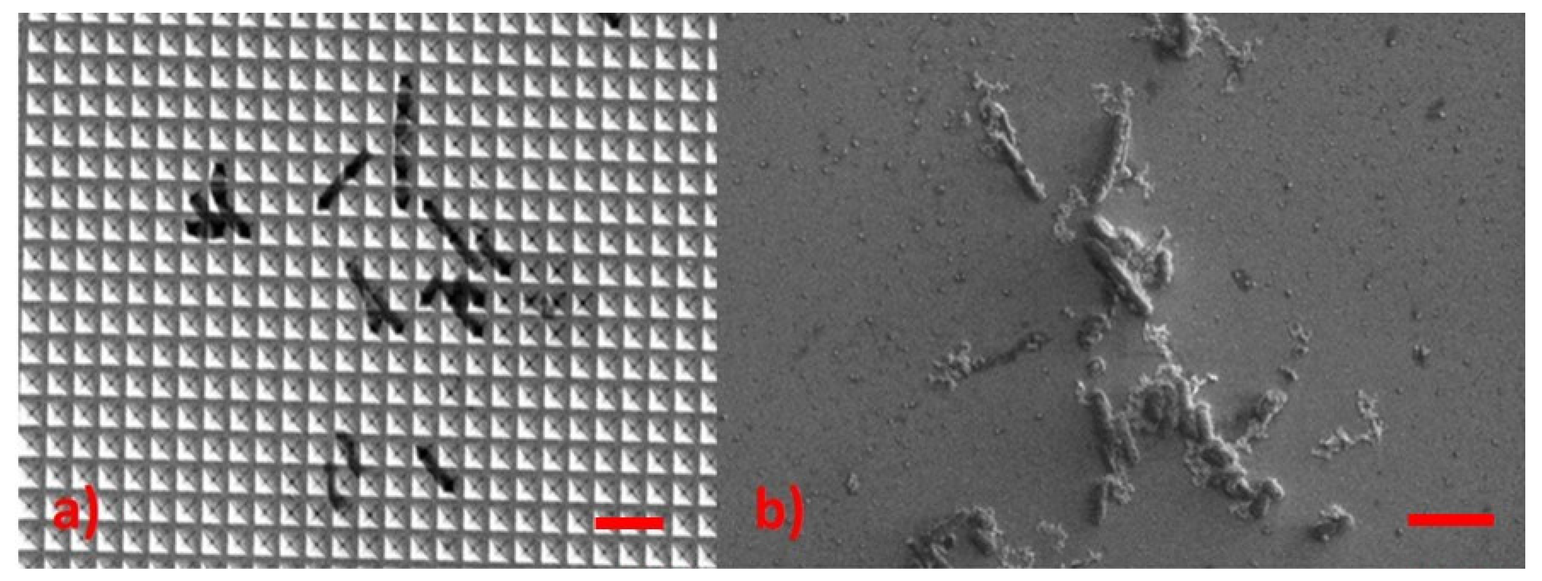 Sensors 22 08338 g011