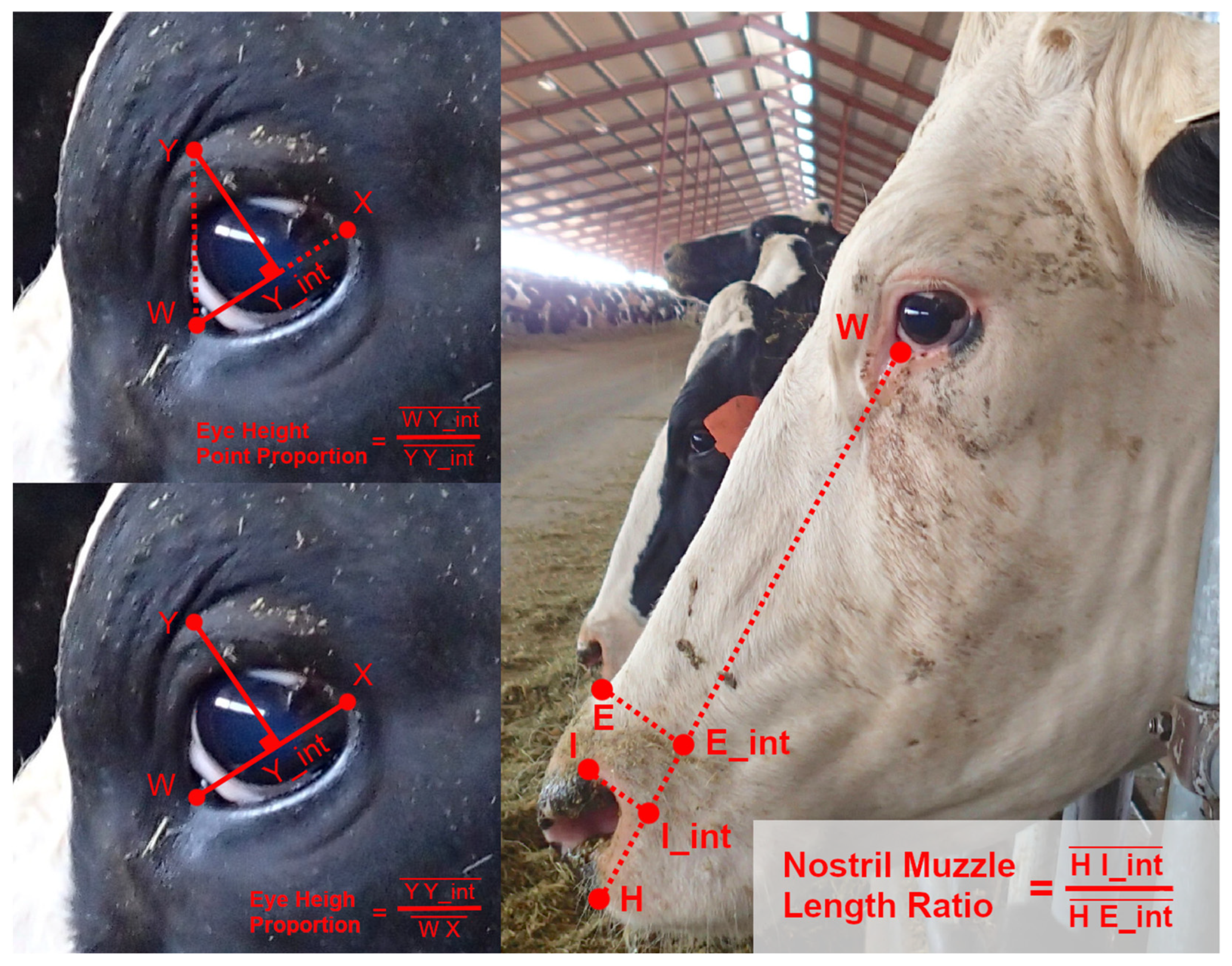 Sensors 22 08347 g001