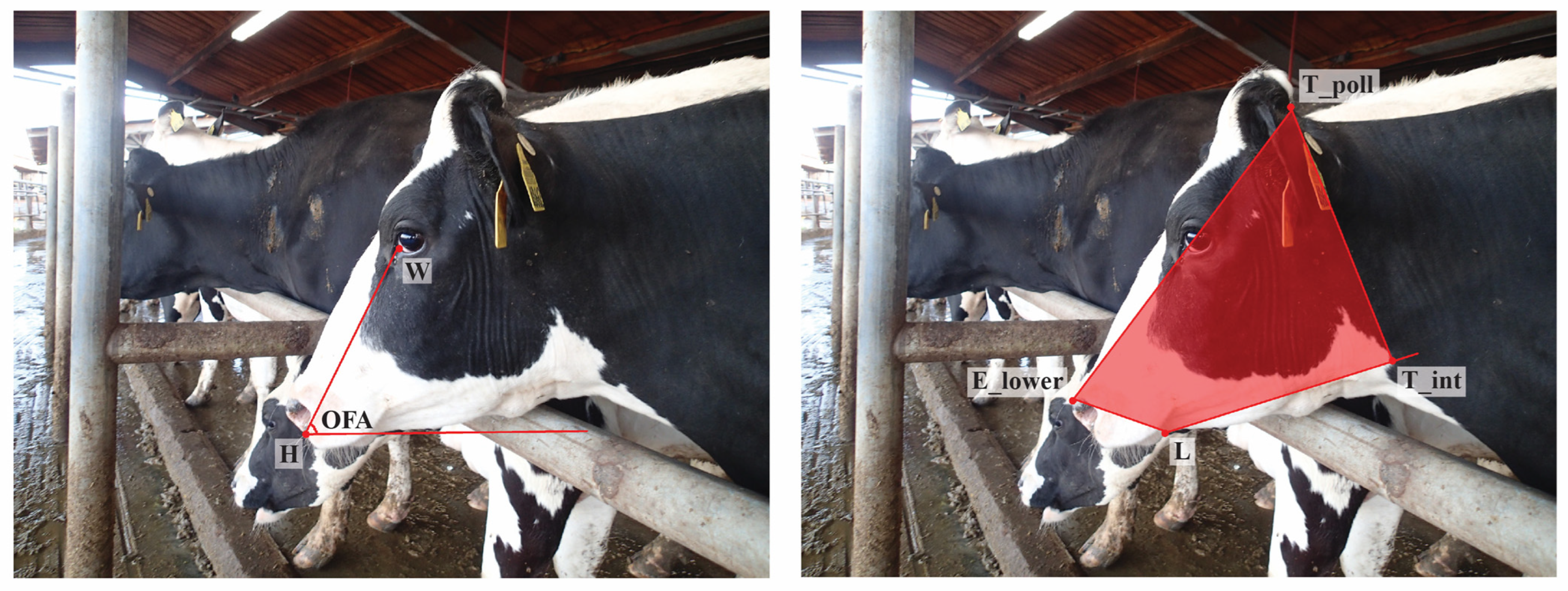 Sensors 22 08347 g002