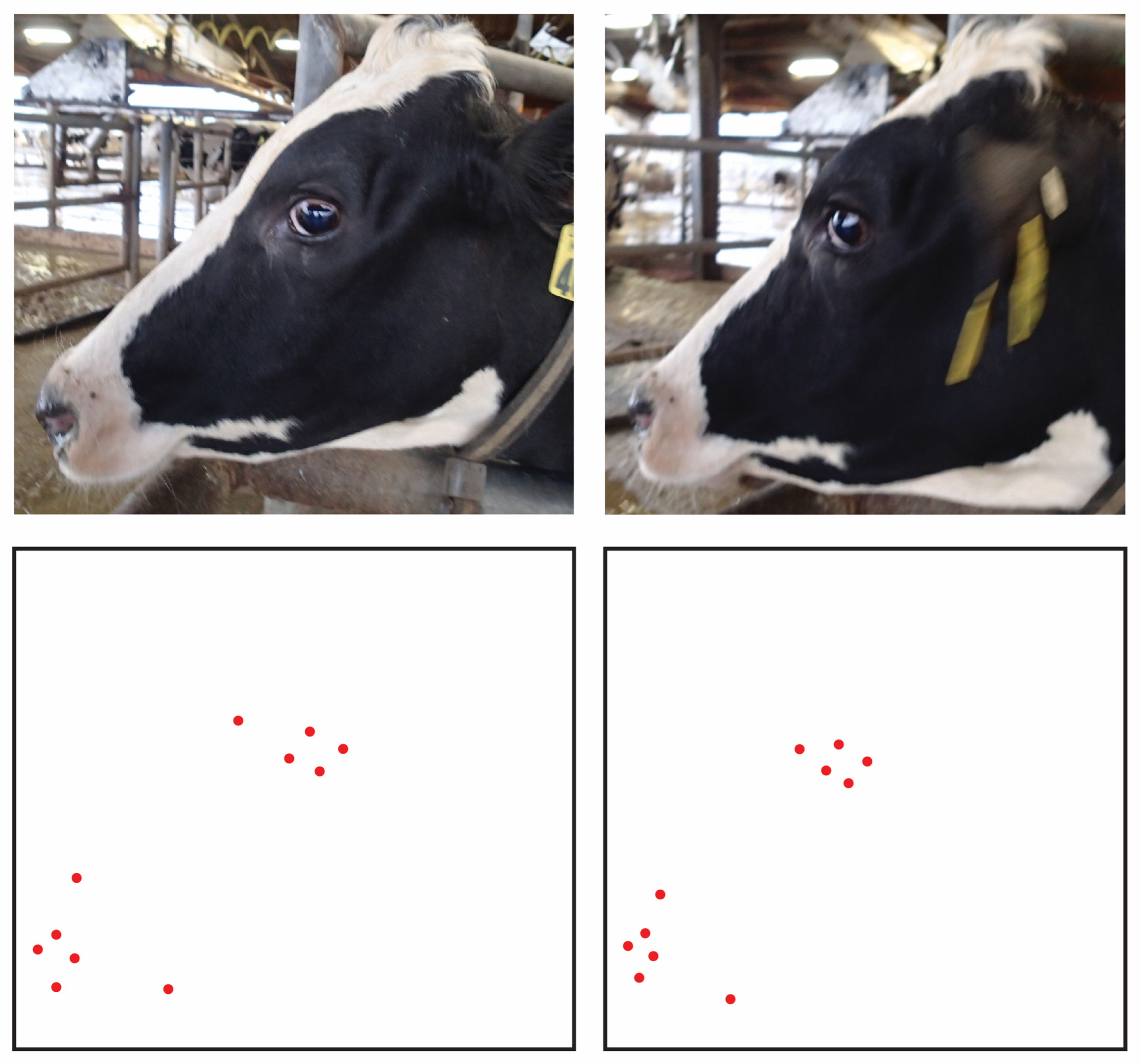 Sensors 22 08347 g007