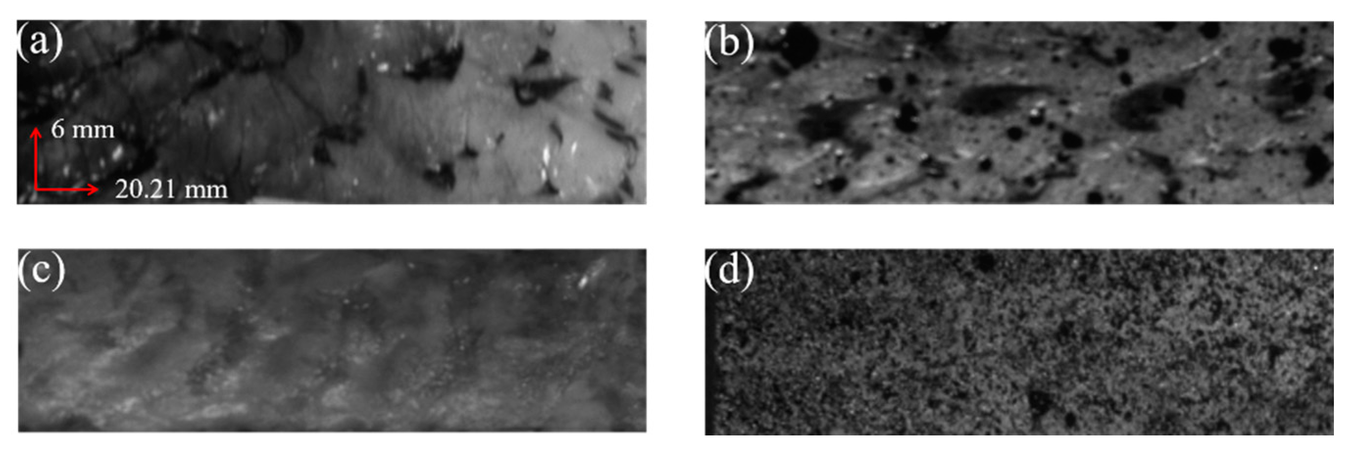 Sensors 22 08364 g006