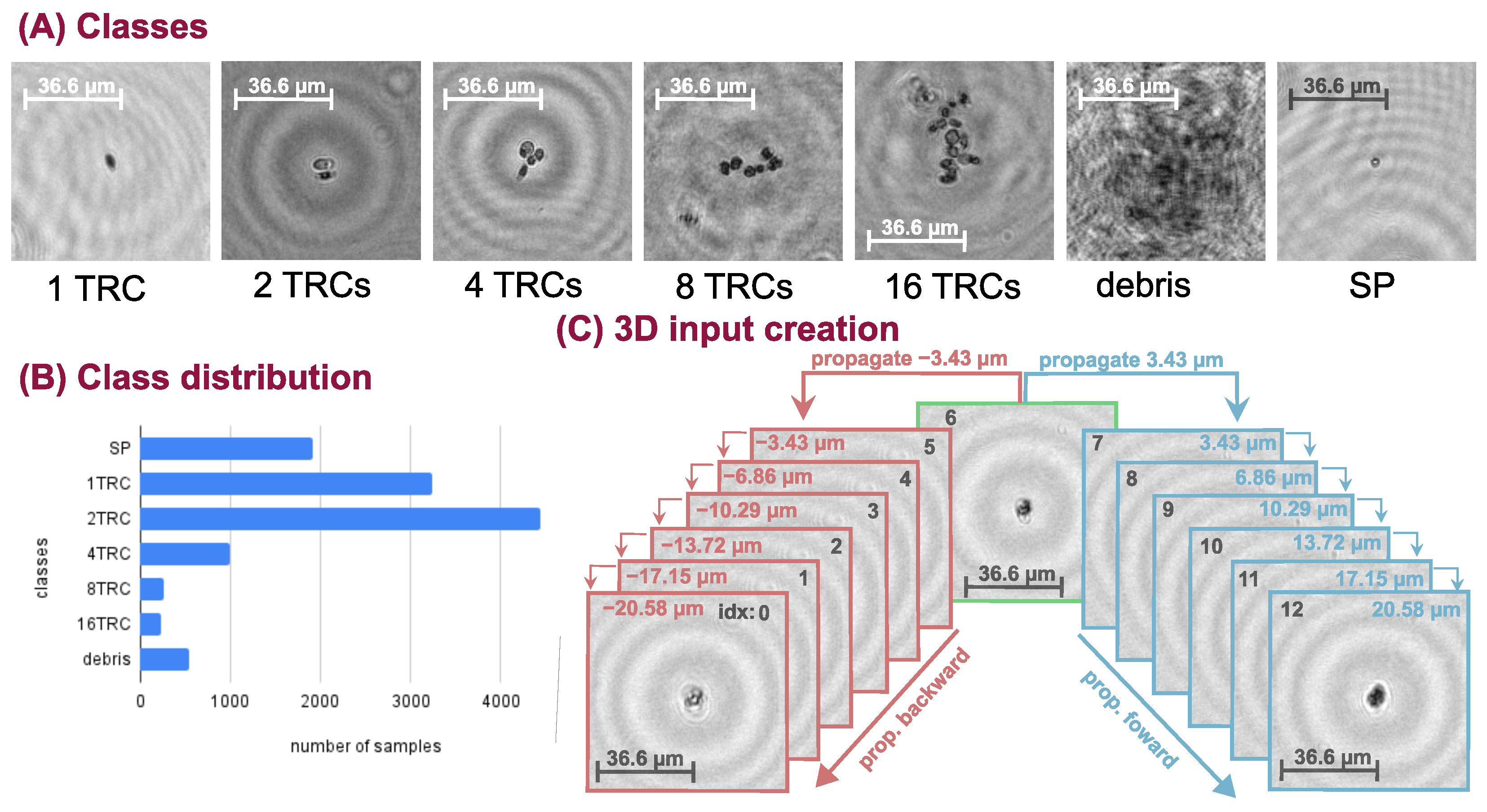 Sensors 22 08366 g001 Sensors 22 08366 g001